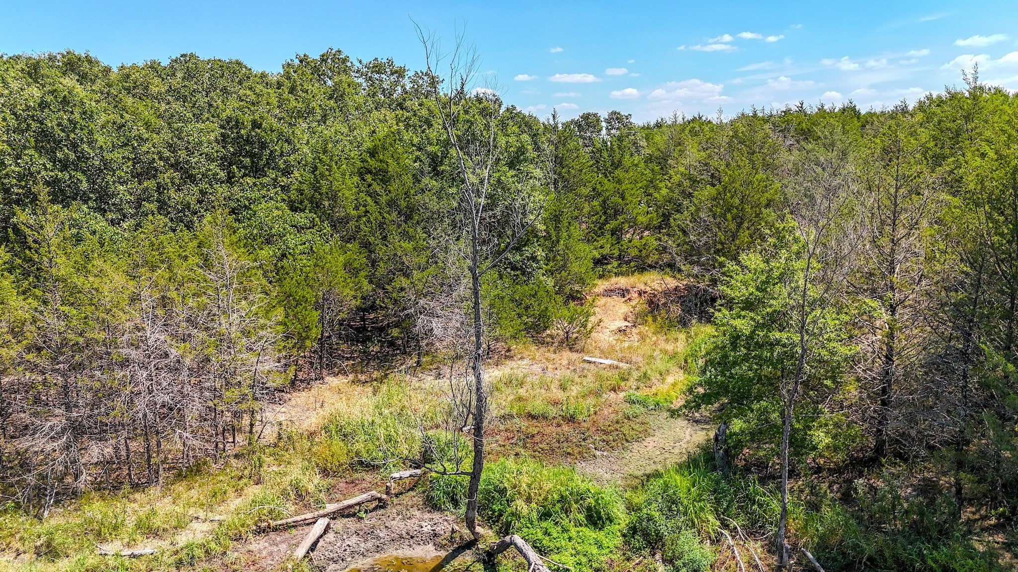 Ivanhoe, Texas, 75447, United States, ,Land,For Sale,1973742