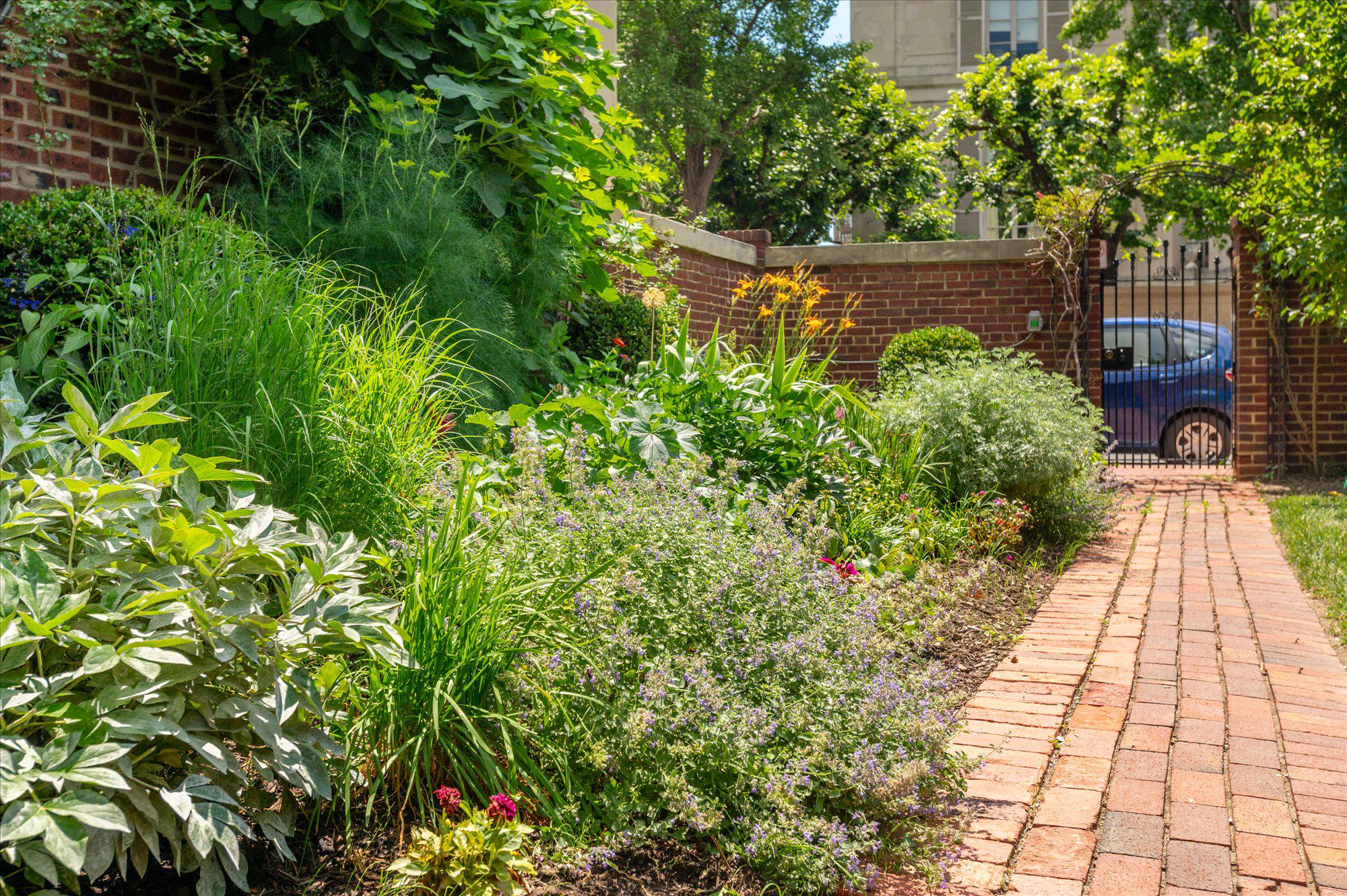  1661 Crescent Place NW, Washington, DC, 20009 - 物件實景