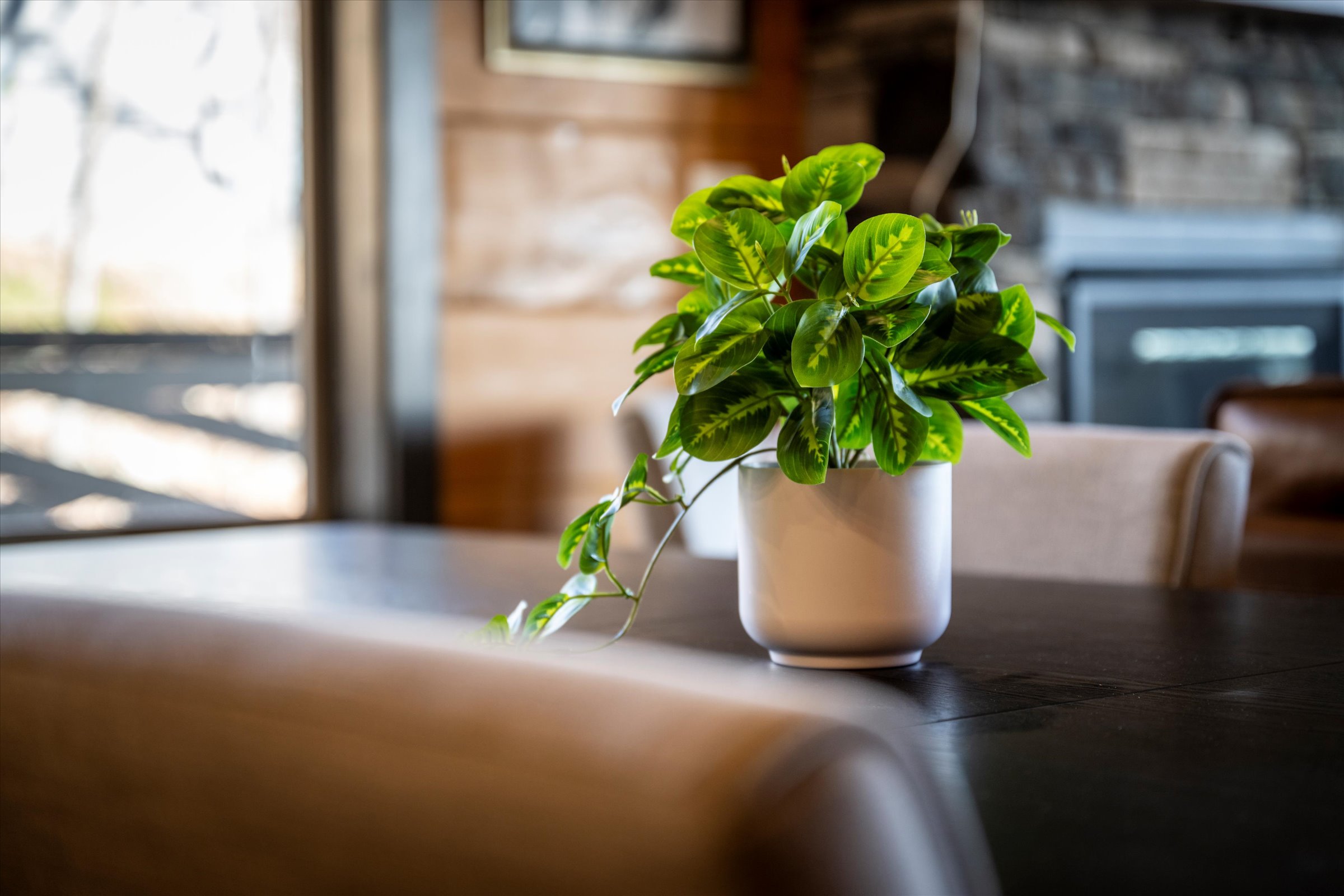 Sevierville, Tennessee, 37876, United States, 5 Bedrooms Bedrooms, ,6 BathroomsBathrooms,Residential,For Sale,1975935