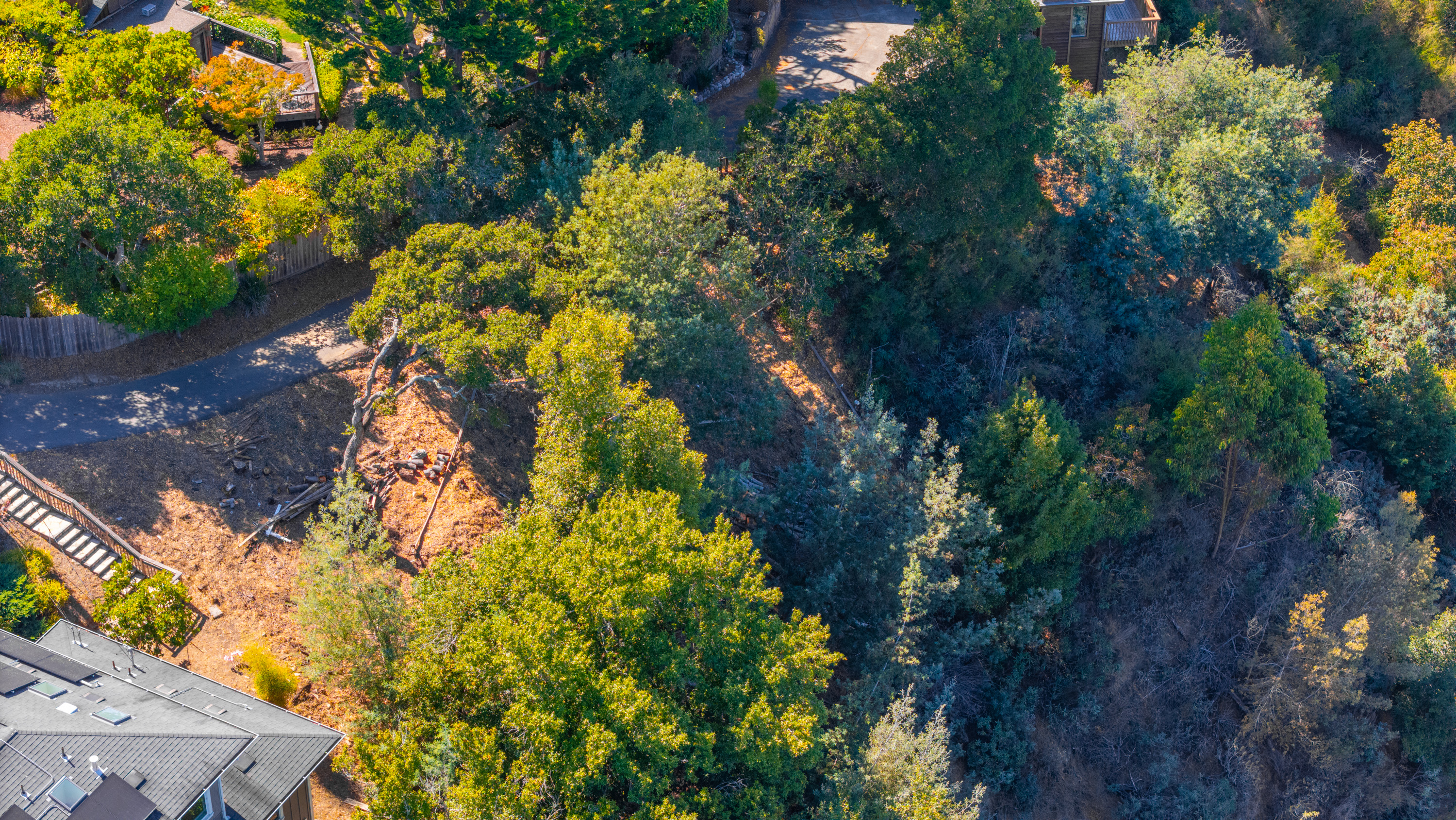  Exceptional Mill Valley Lot with Expired Approved Plans - 物件實景