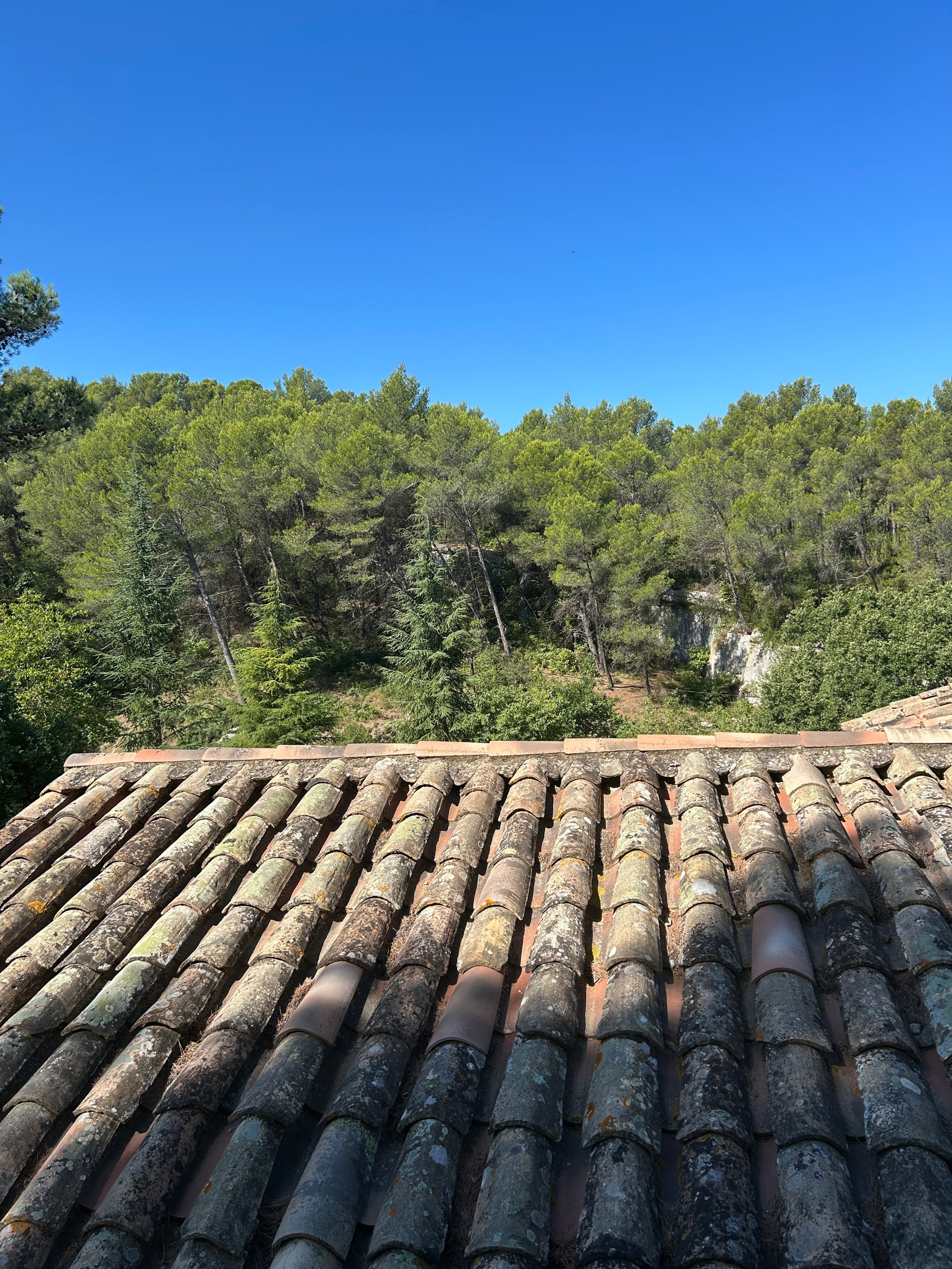  Saint-Rémy-de-Provence – House to renovate at the foot of the Alpilles - 物件實景