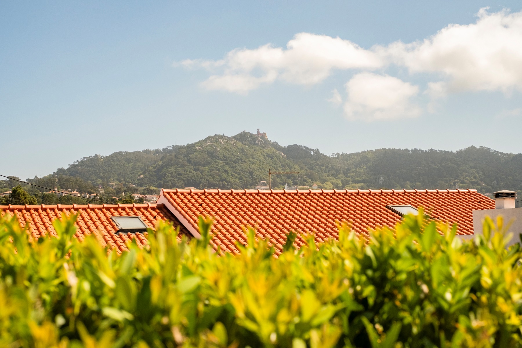  Detached house, 4 bedrooms, for Sale - 物件實景