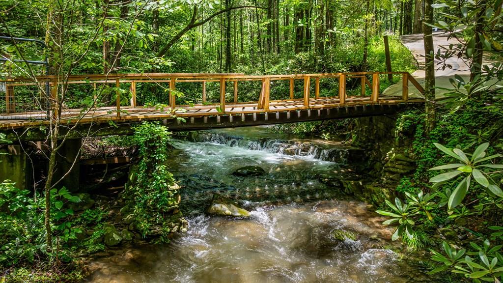 Ellijay, Georgia, 30540, United States, 5 Bedrooms Bedrooms, ,5 BathroomsBathrooms,Residential,For Sale,1868155