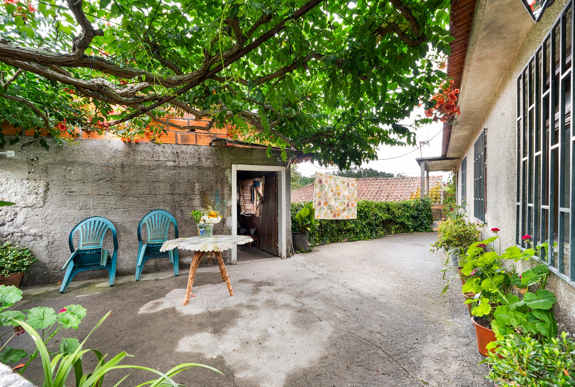 Farm, 3 bedrooms, for Sale - 物件實景