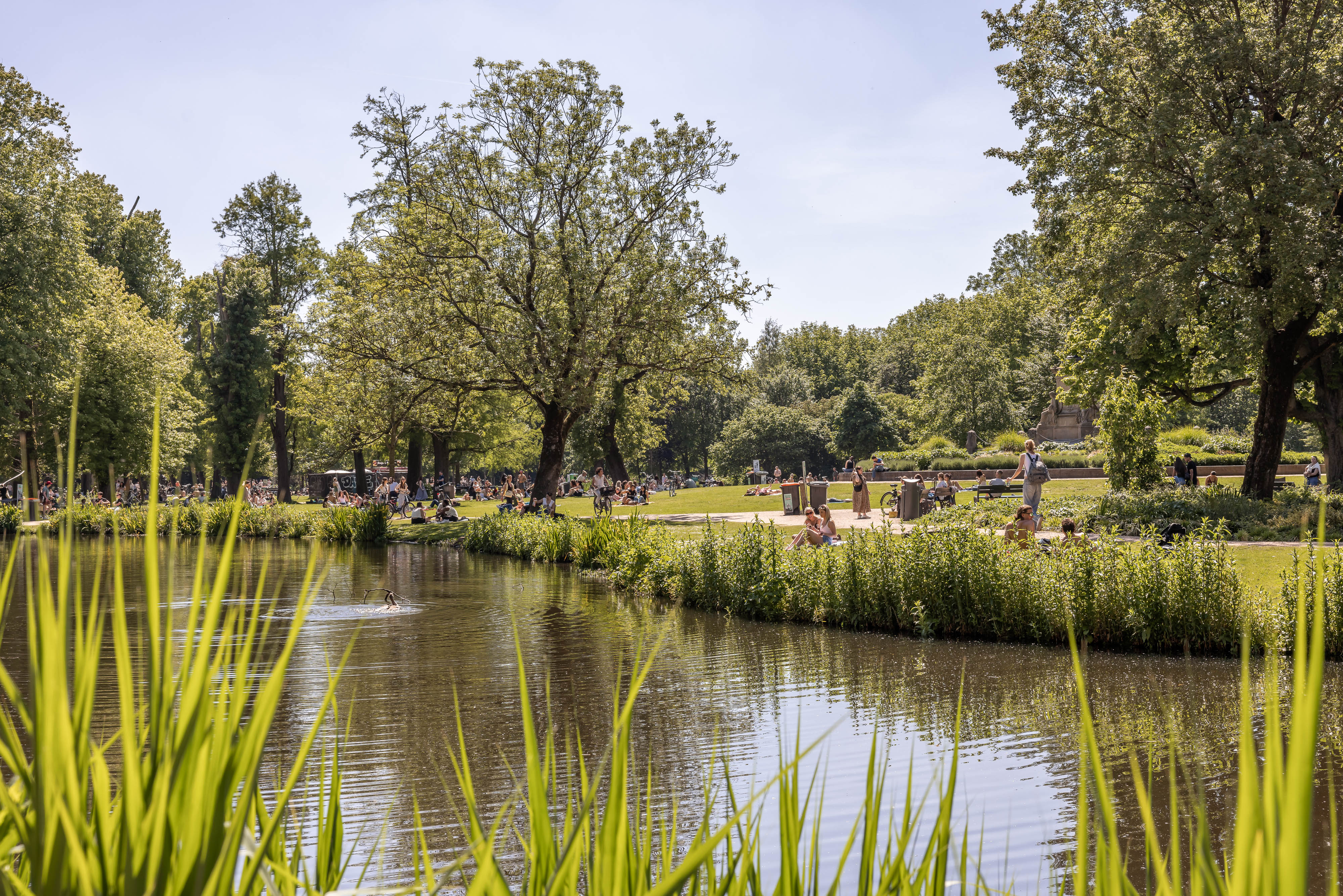  The Vondel Park Residence - 物件實景