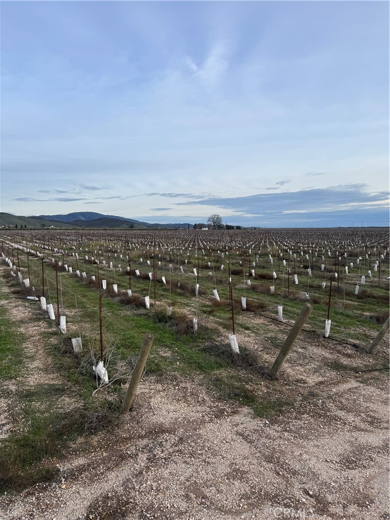 Lockwood, California, 93932, United States, ,Land,For Sale,2006086