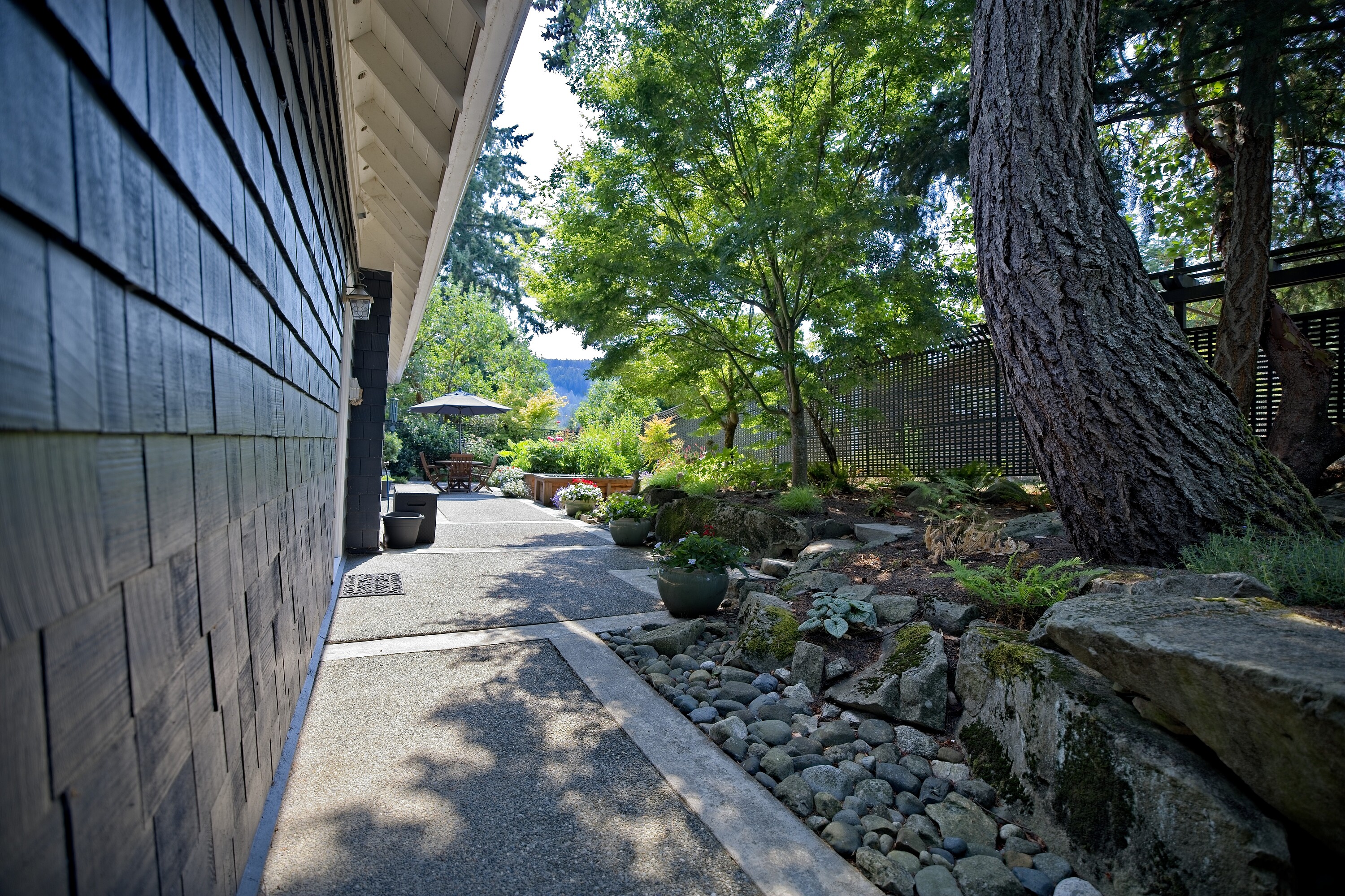  Coastal Cape House - 物件實景