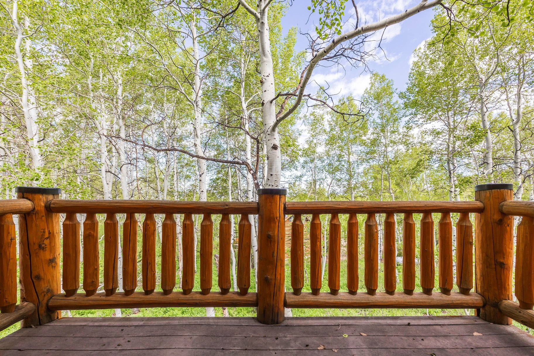  Luxury Mountain Home in the Coveted Timber Lakes Community of Heber - 物件實景
