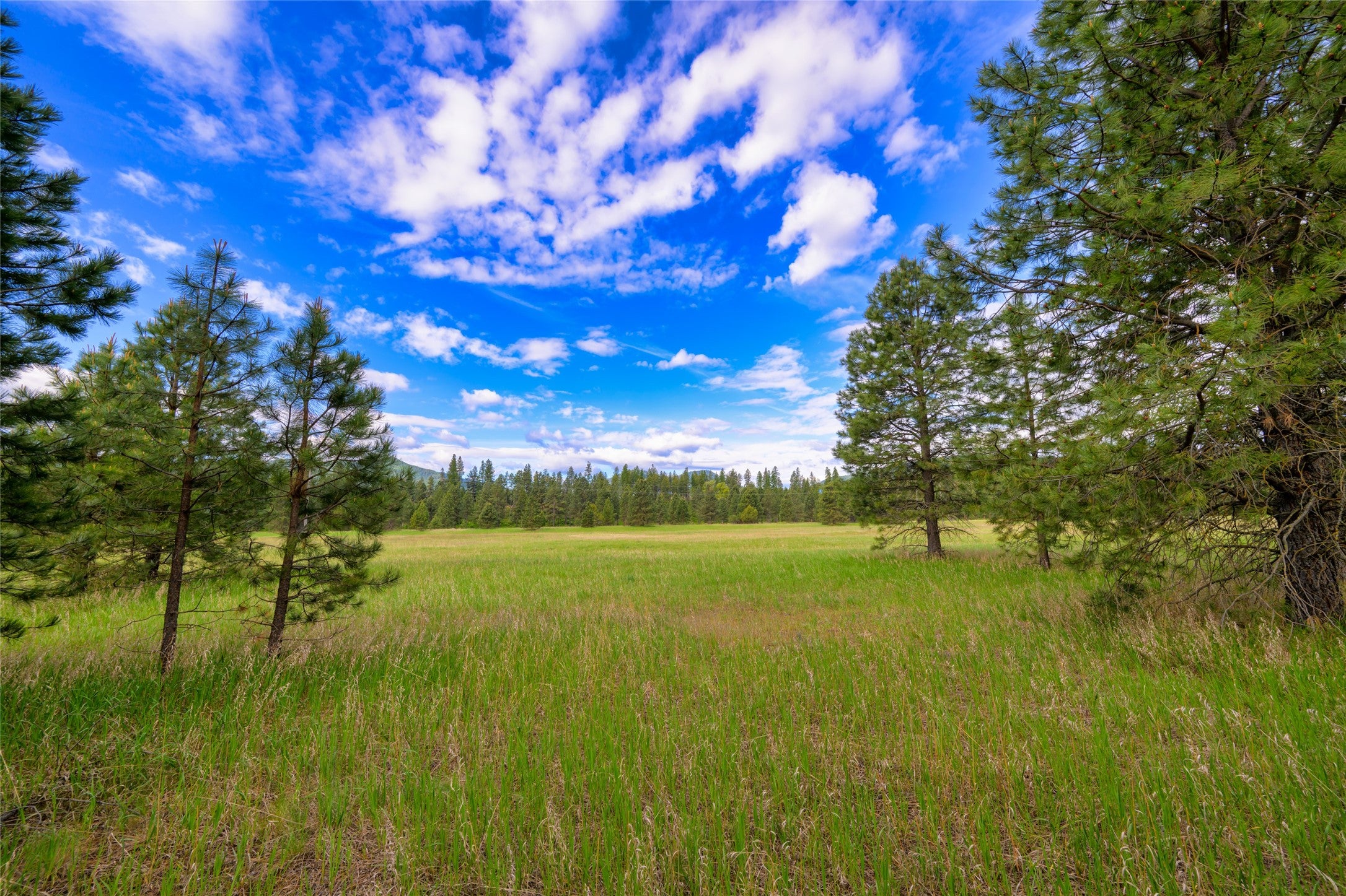 St Regis, Montana, 59866, United States, ,Land,For Sale,1848990