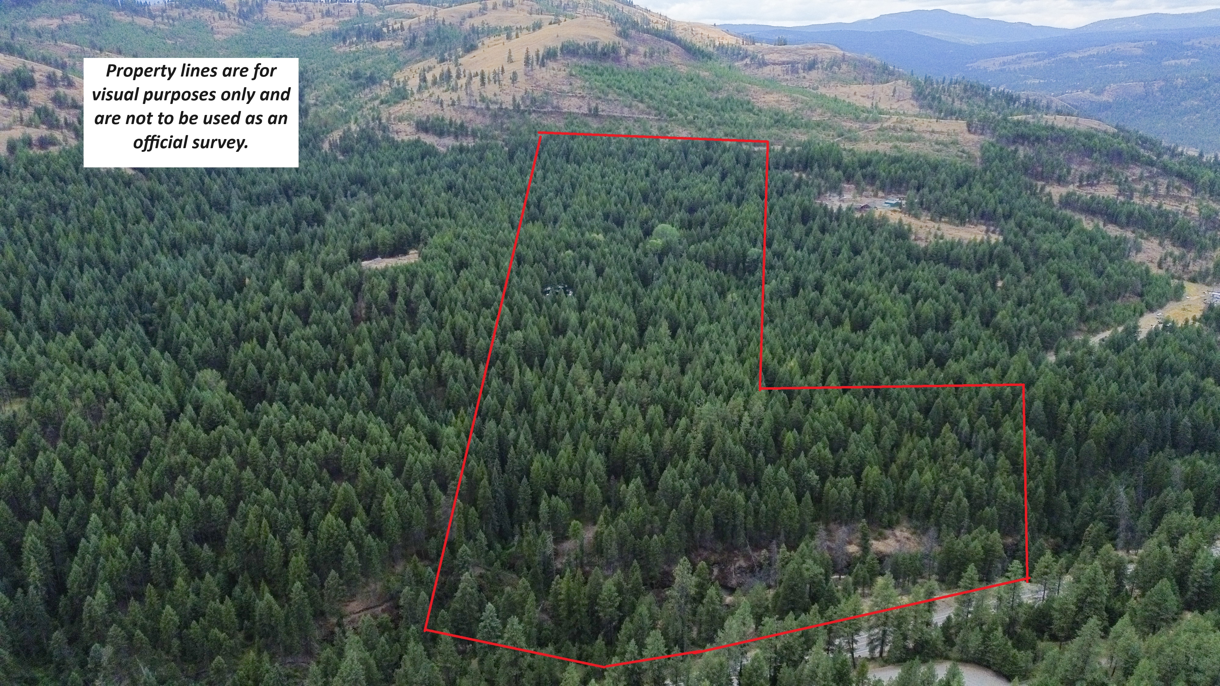 Republic, Washington, 99166, United States, 3 Bedrooms Bedrooms, ,3 BathroomsBathrooms,Residential,For Sale,1976903