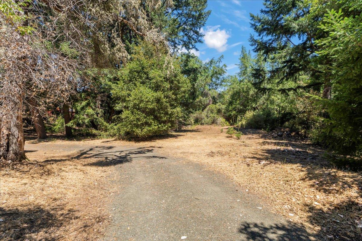 Los Gatos, California, 95033, United States, 3 Bedrooms Bedrooms, ,2 BathroomsBathrooms,Residential,For Sale,1905866