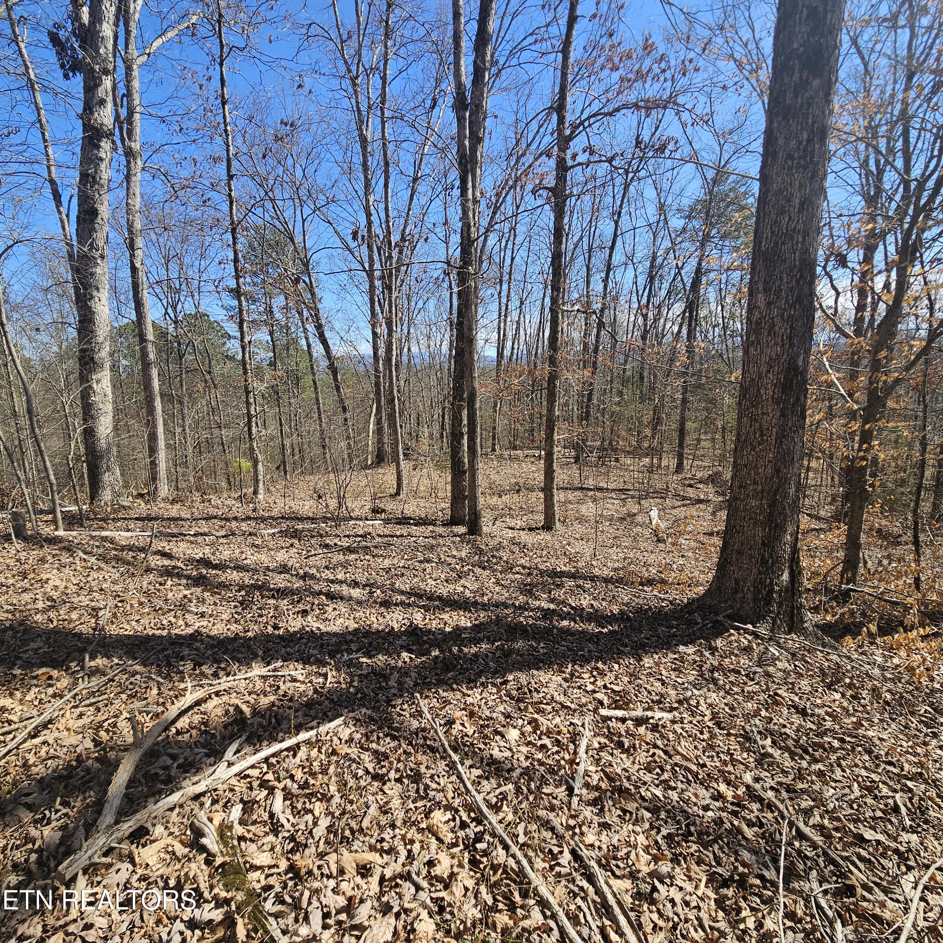Tellico Plains, Tennessee, 37385, United States, ,Residential,For Sale,1922105