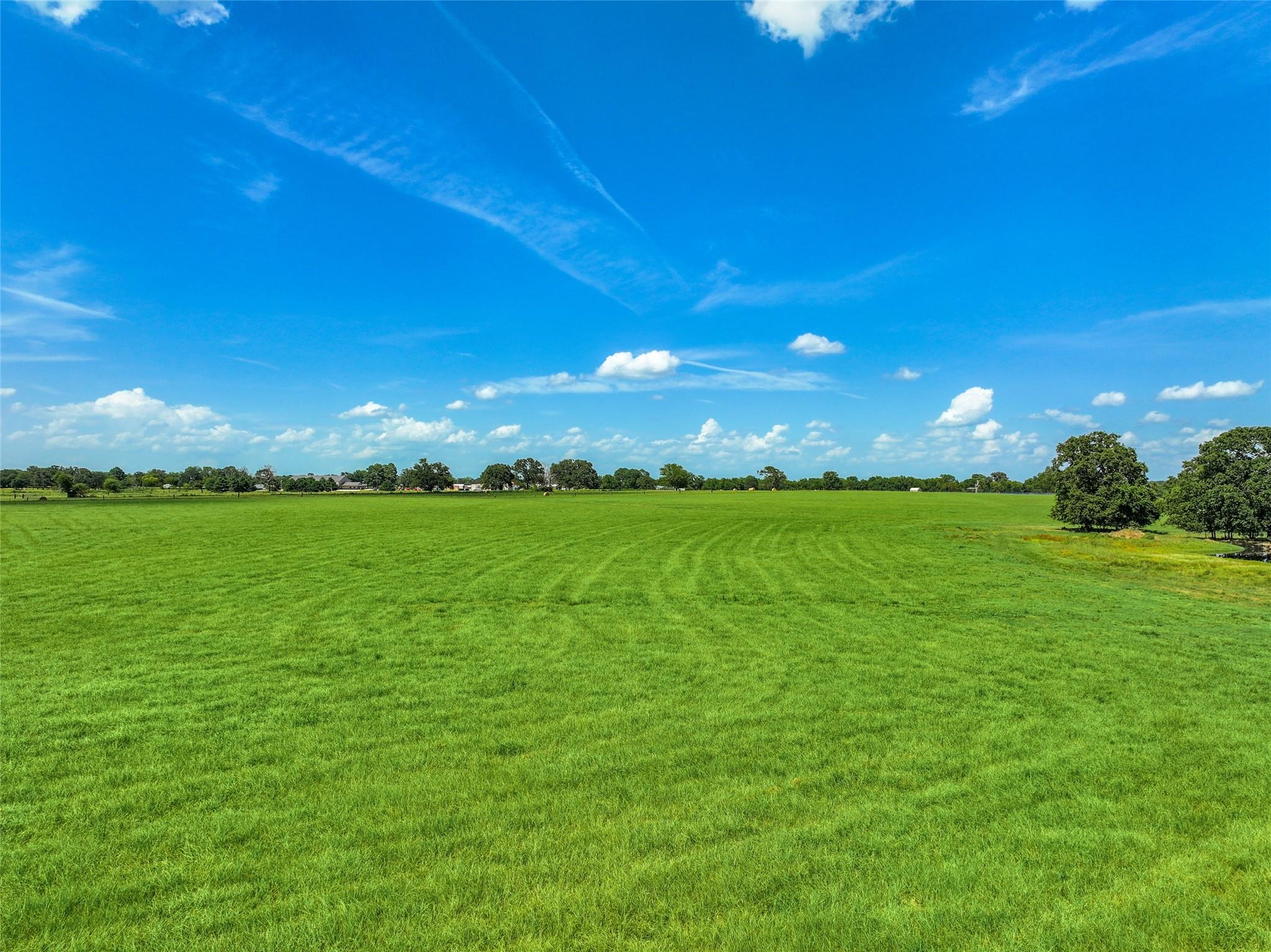 Alba, Texas, 75410, United States, ,Residential,For Sale,1886951