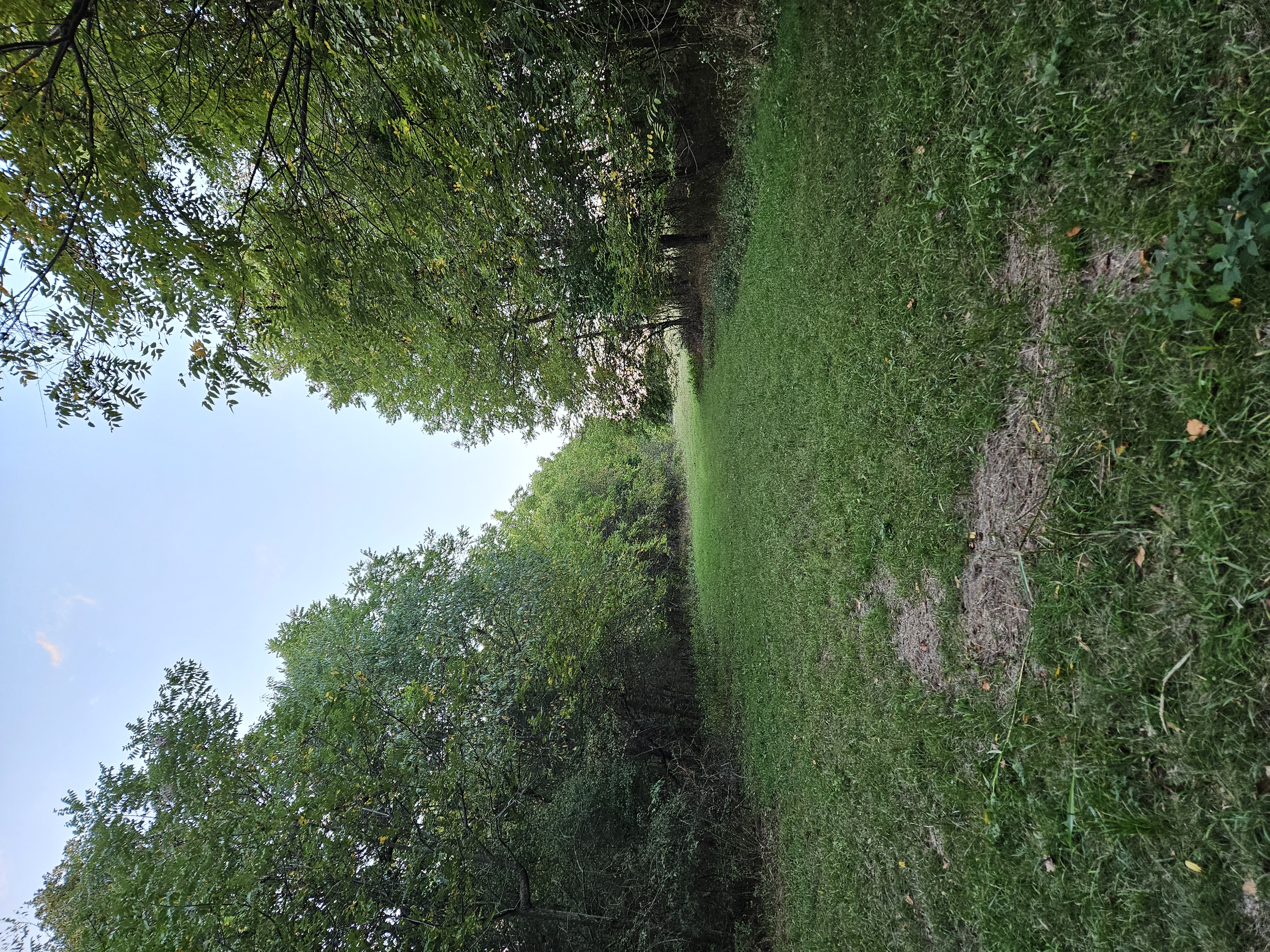 Pierce City, Missouri, 65723, United States, 5 Bedrooms Bedrooms, ,3 BathroomsBathrooms,Residential,For Sale,1975319