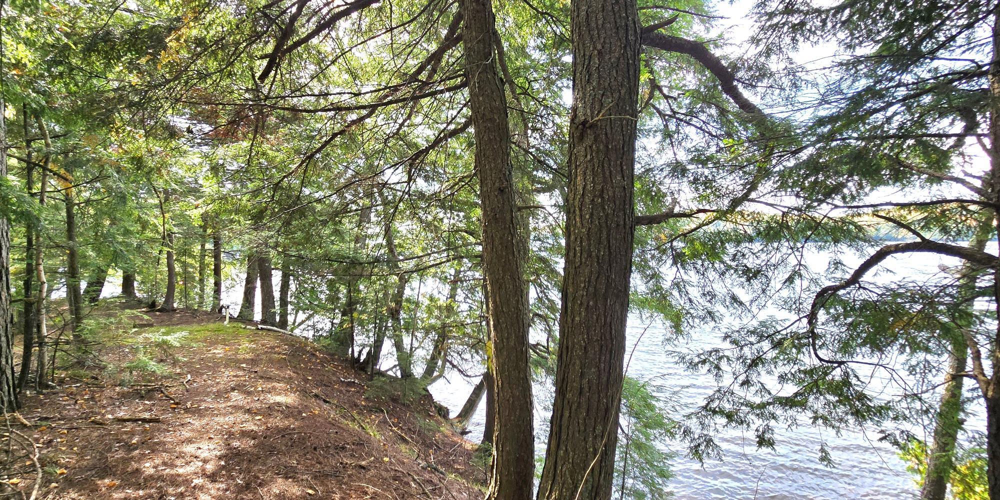 Presque Isle, Wisconsin, 54557, United States, ,Land,For Sale,1984076