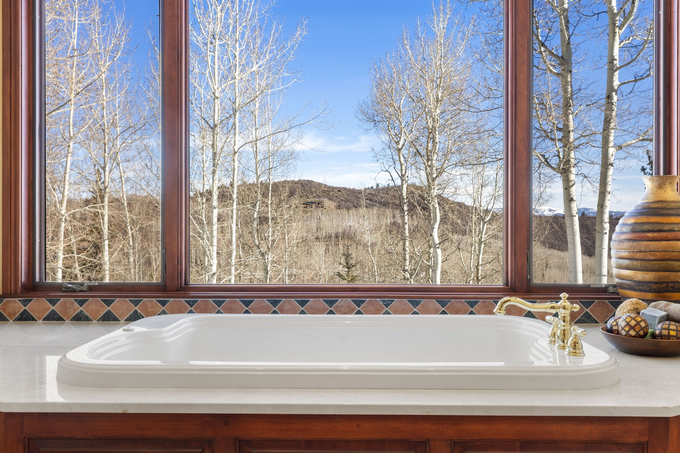  142 Aspen Way, Snowmass Village, CO, 81615 - 物件實景