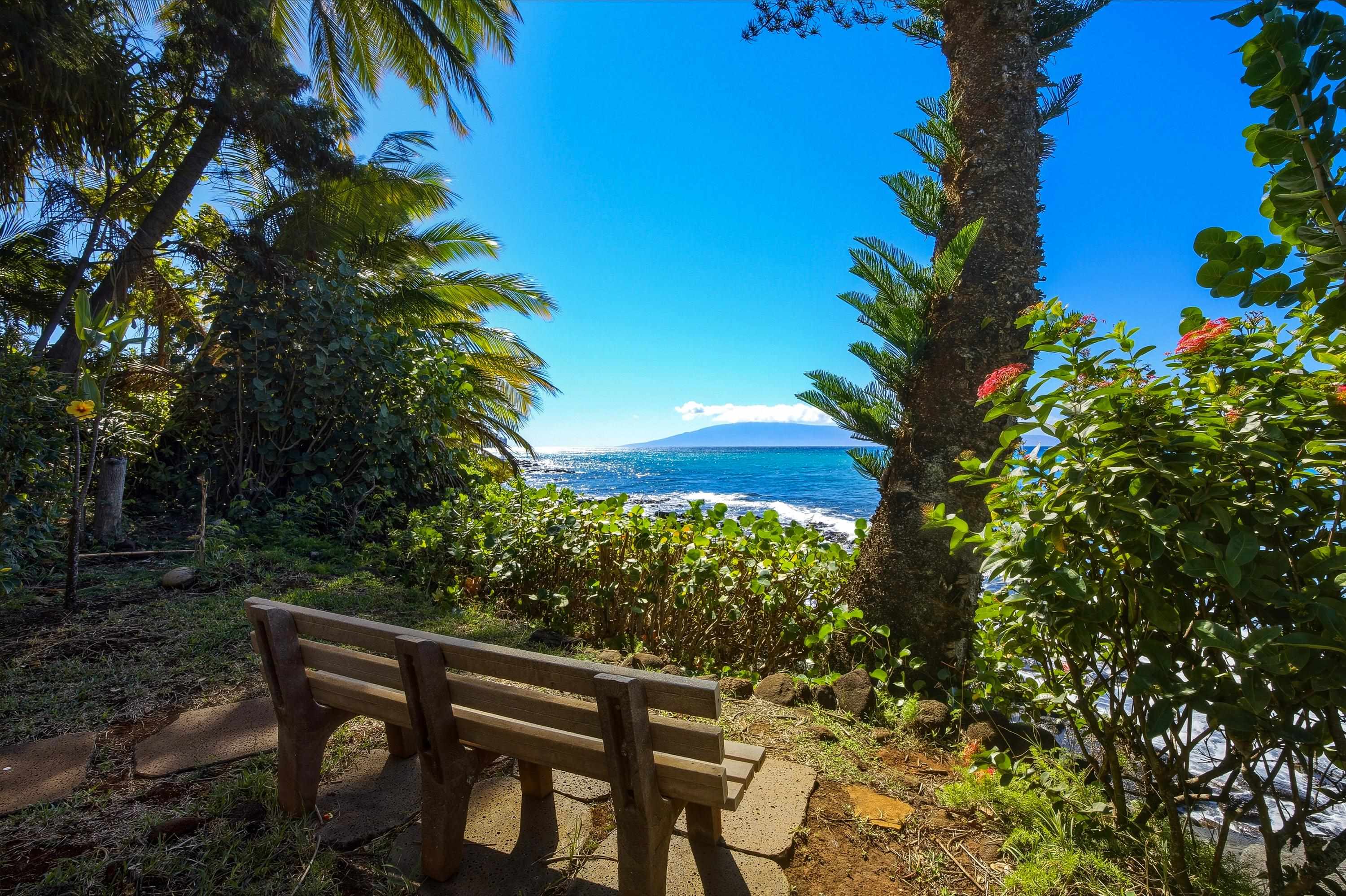 Lahaina, Hawaii, 96761, United States, 1 Bedroom Bedrooms, ,1 BathroomBathrooms,Residential,For Sale,1995975