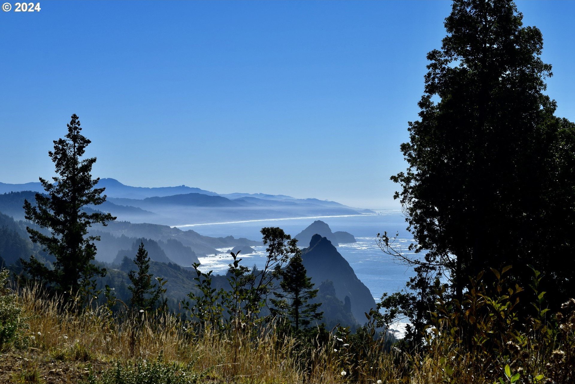Port Orford, Oregon, 97465, United States, ,Land,For Sale,1977705