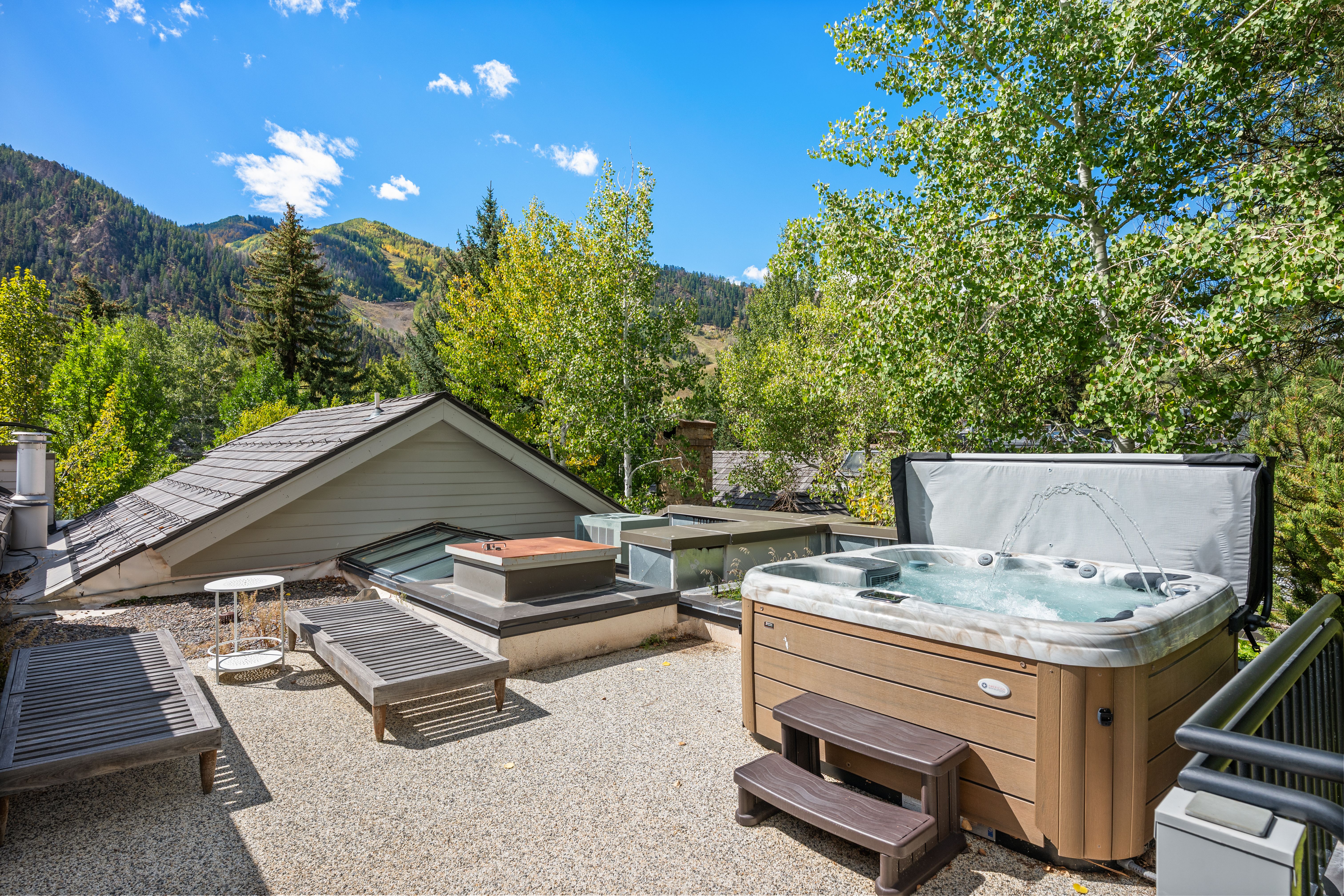 960 E Hopkins Avenue, Aspen, CO, 81611 - 物件實景