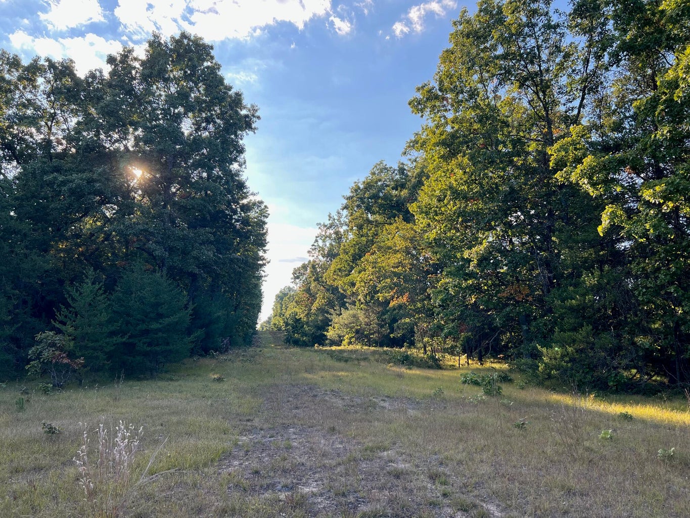 Baldwin, Michigan, 49304, United States, 3 Bedrooms Bedrooms, ,2 BathroomsBathrooms,Residential,For Sale,1990507