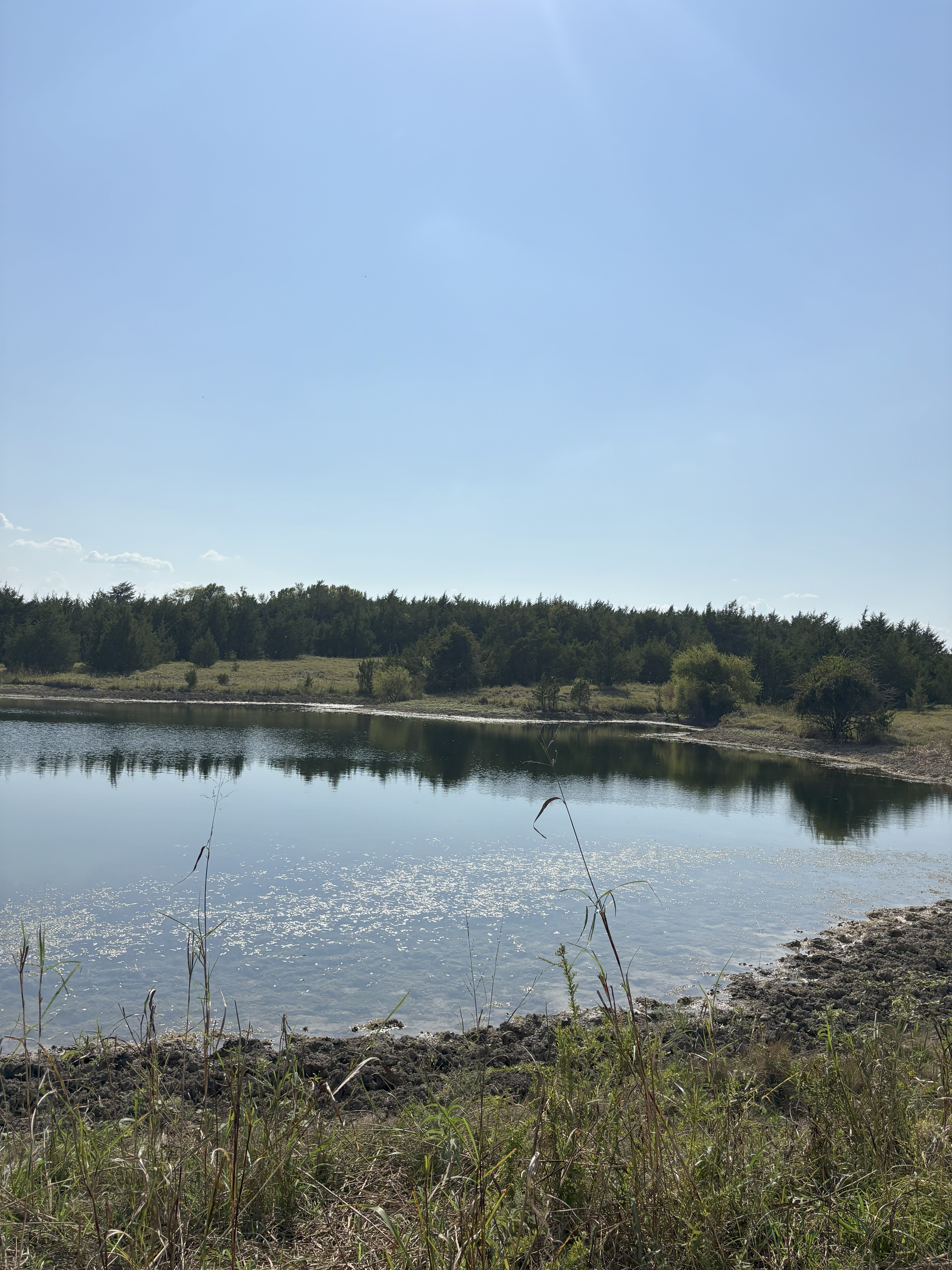 Roxton, Texas, 75477, United States, ,Land,For Sale,1979032