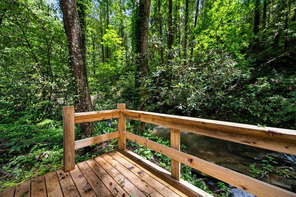 Ellijay, Georgia, 30540, United States, 5 Bedrooms Bedrooms, ,5 BathroomsBathrooms,Residential,For Sale,1868155