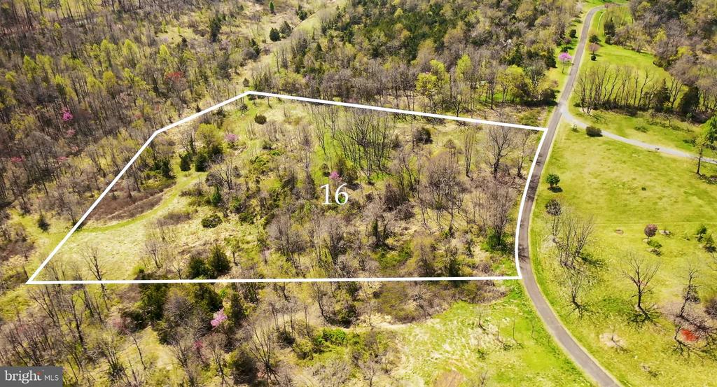 Rapidan, Virginia, 22733, United States, ,Land,For Sale,1977384