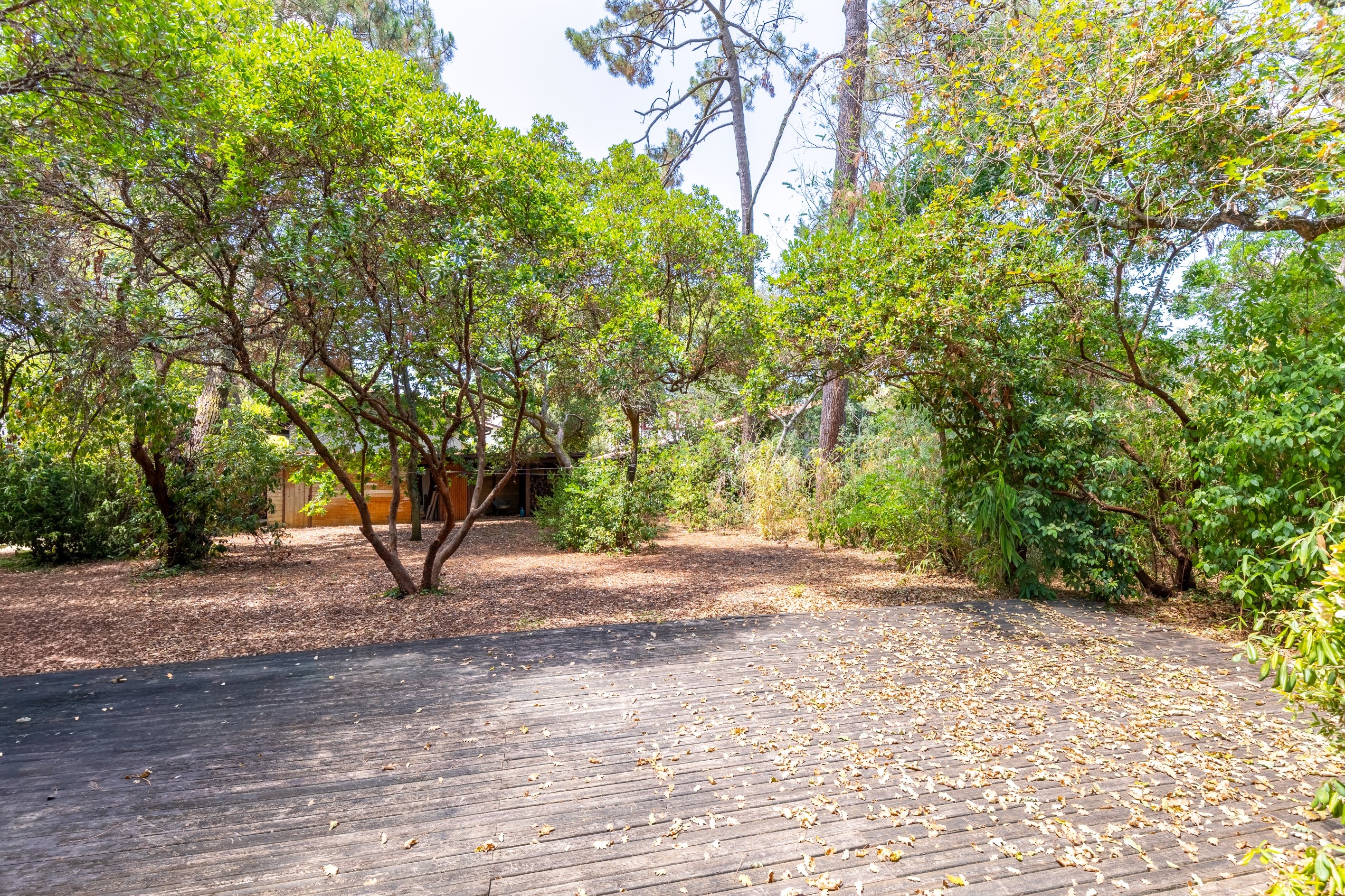  PYLA-SUR-MER – FAMILY VILLA 300 METRES FROM THE BEACH - 物件實景