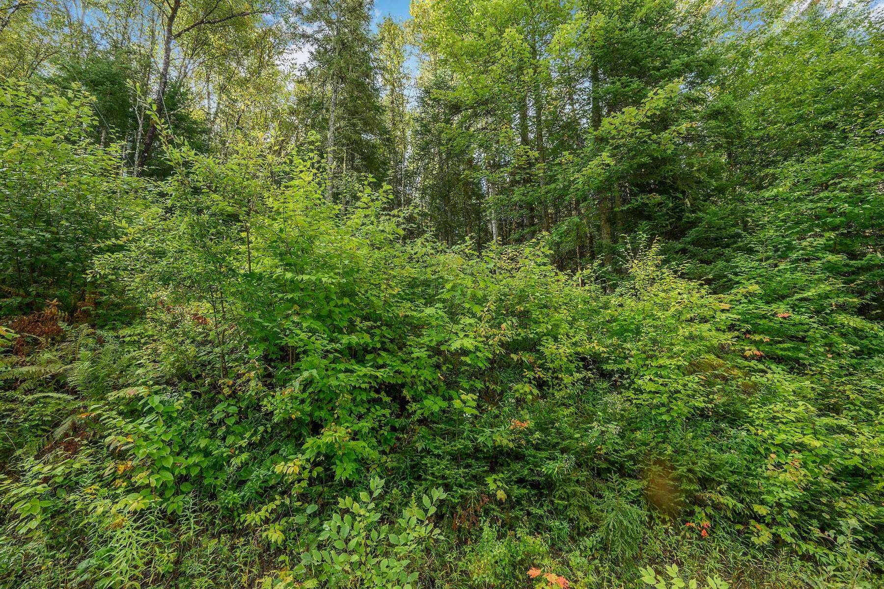  Mont-Tremblant, Laurentides - 物件實景
