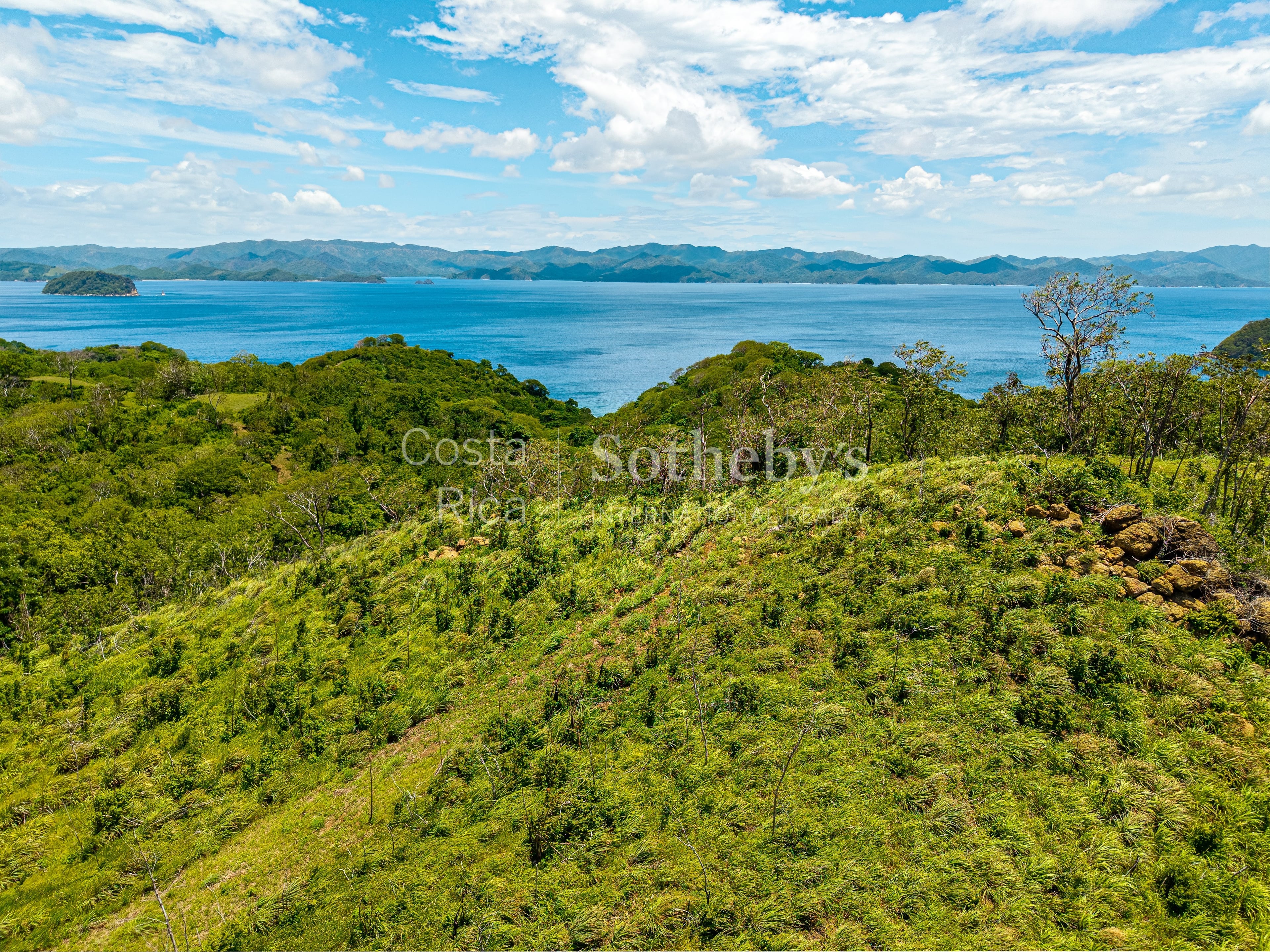  The Cove - 物件實景
