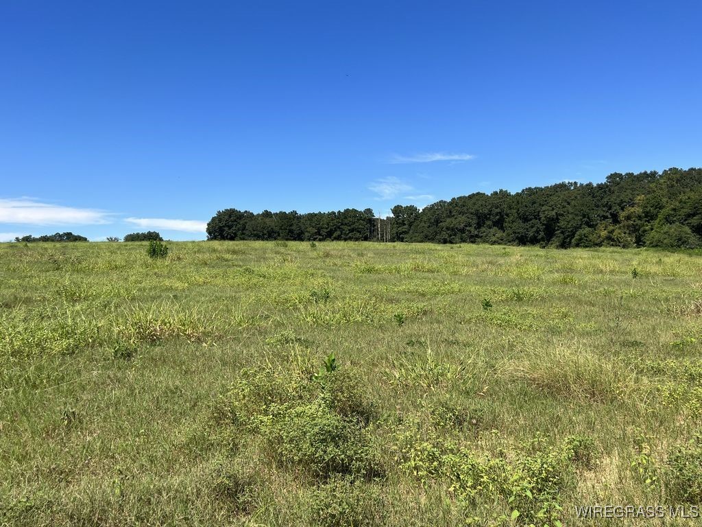 Enterprise, Alabama, 36330, United States, ,Land,For Sale,1979580