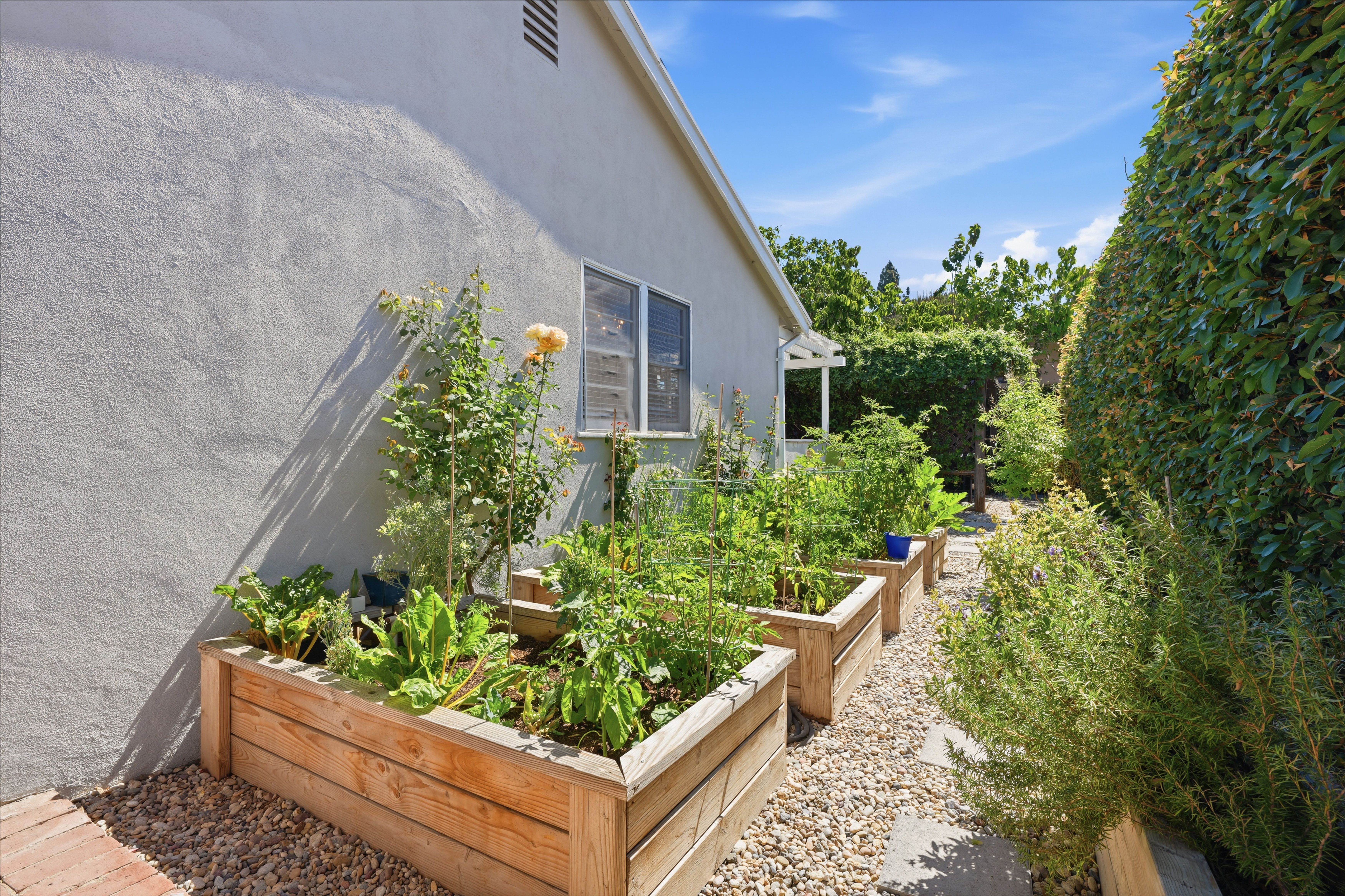  6530 Gaviota Avenue, Los Angeles, CA 91406 - 物件實景