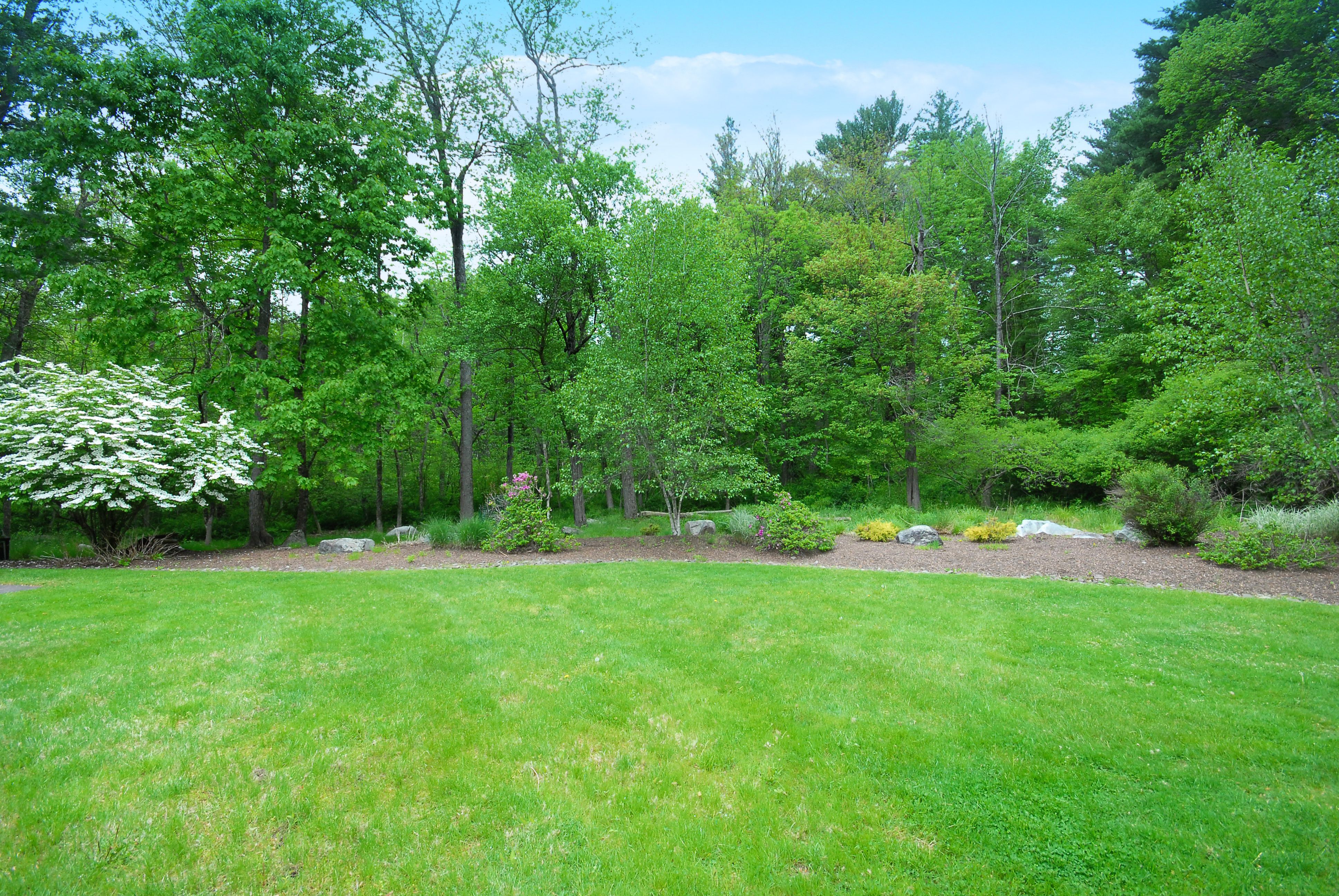  7 Proctor Street, Acton, MA 01720 - 物件實景