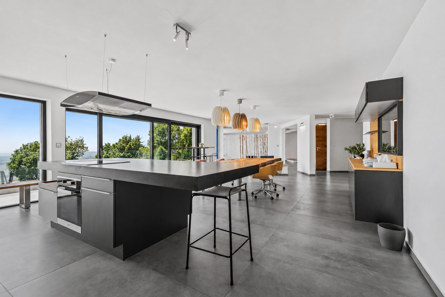  EXCEPTIONAL PANORAMIC VILLA WITH A POOL OVERLOOKING THE LAKE - 物件實景