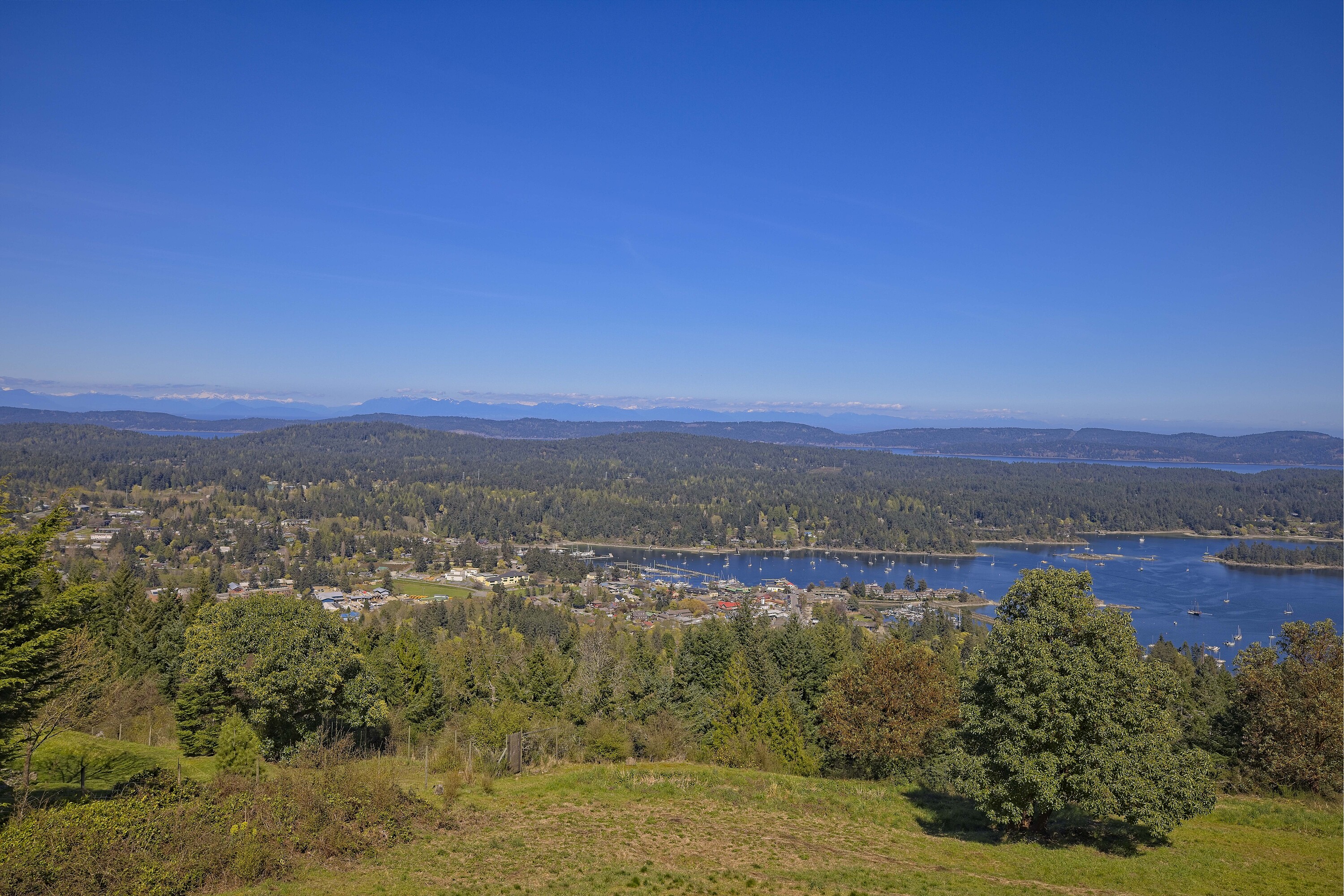  Driven by Design - 物件實景