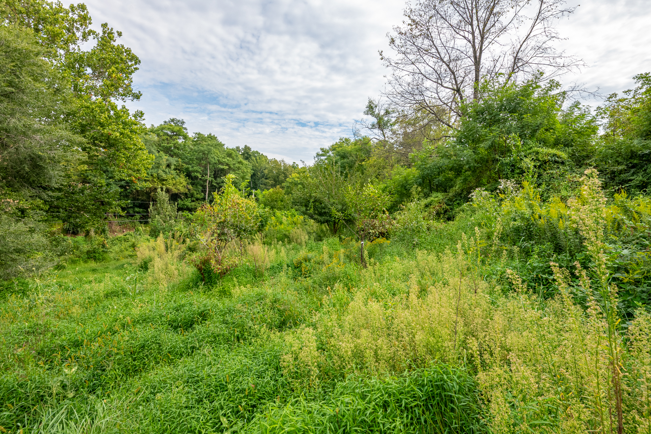  0 River Rd, Pequea, PA 17565 - 物件實景
