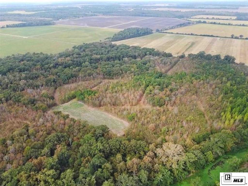593 FORTENBERRY ROAD, Rayville, Louisiana, 71269, United States, ,Land,For Sale,593 FORTENBERRY ROAD,1683237