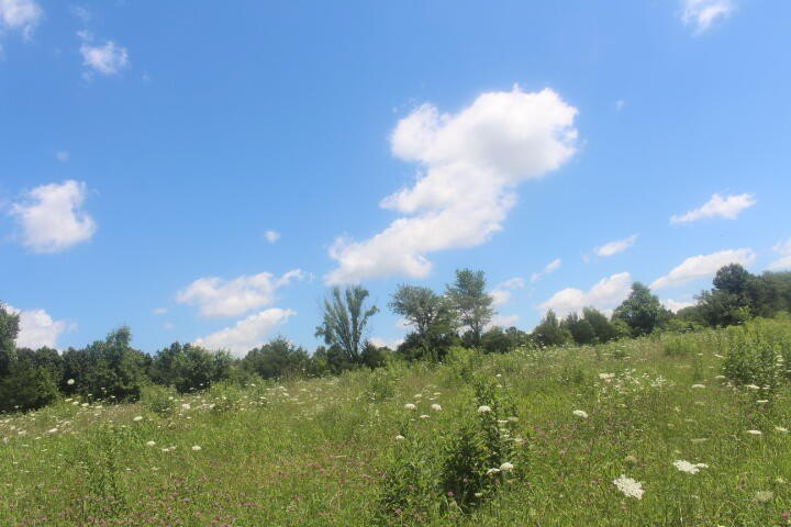 Polk, Missouri, 65727, United States, ,Land,For Sale,1980569