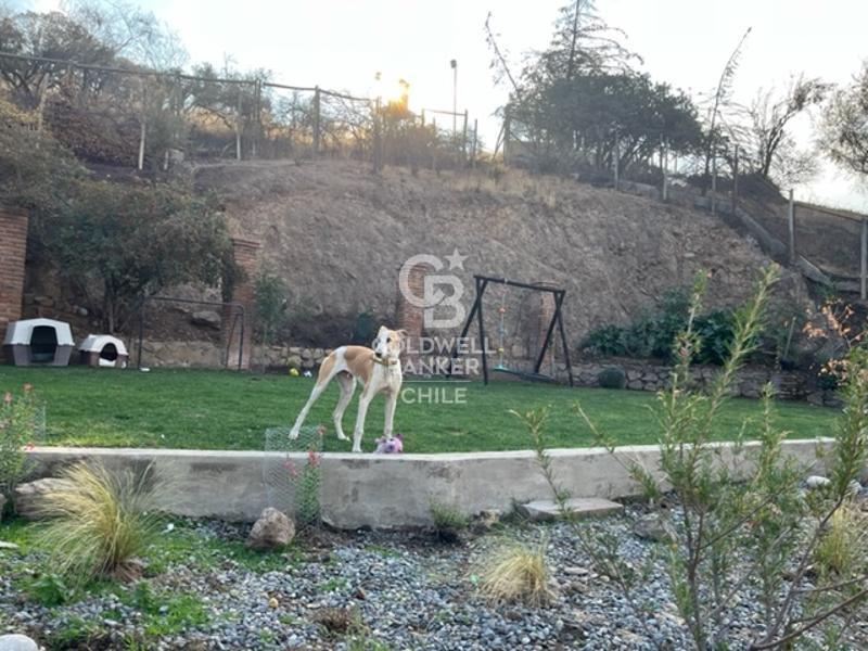 Lo Barnechea, Chile, 6 Bedrooms Bedrooms, ,6 BathroomsBathrooms,Residential,For Sale,1951401