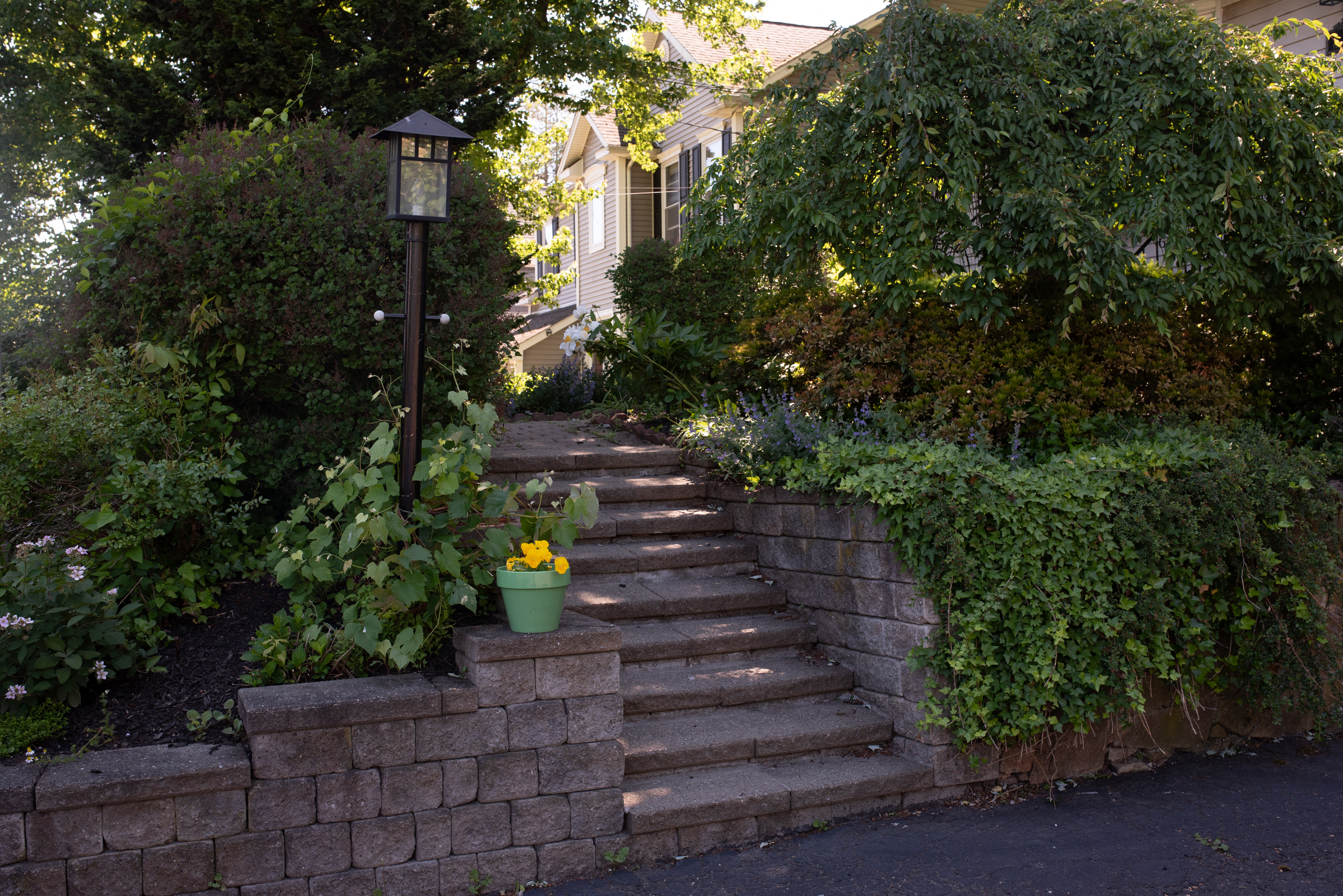  Charming Cape in Fairfield - 物件實景