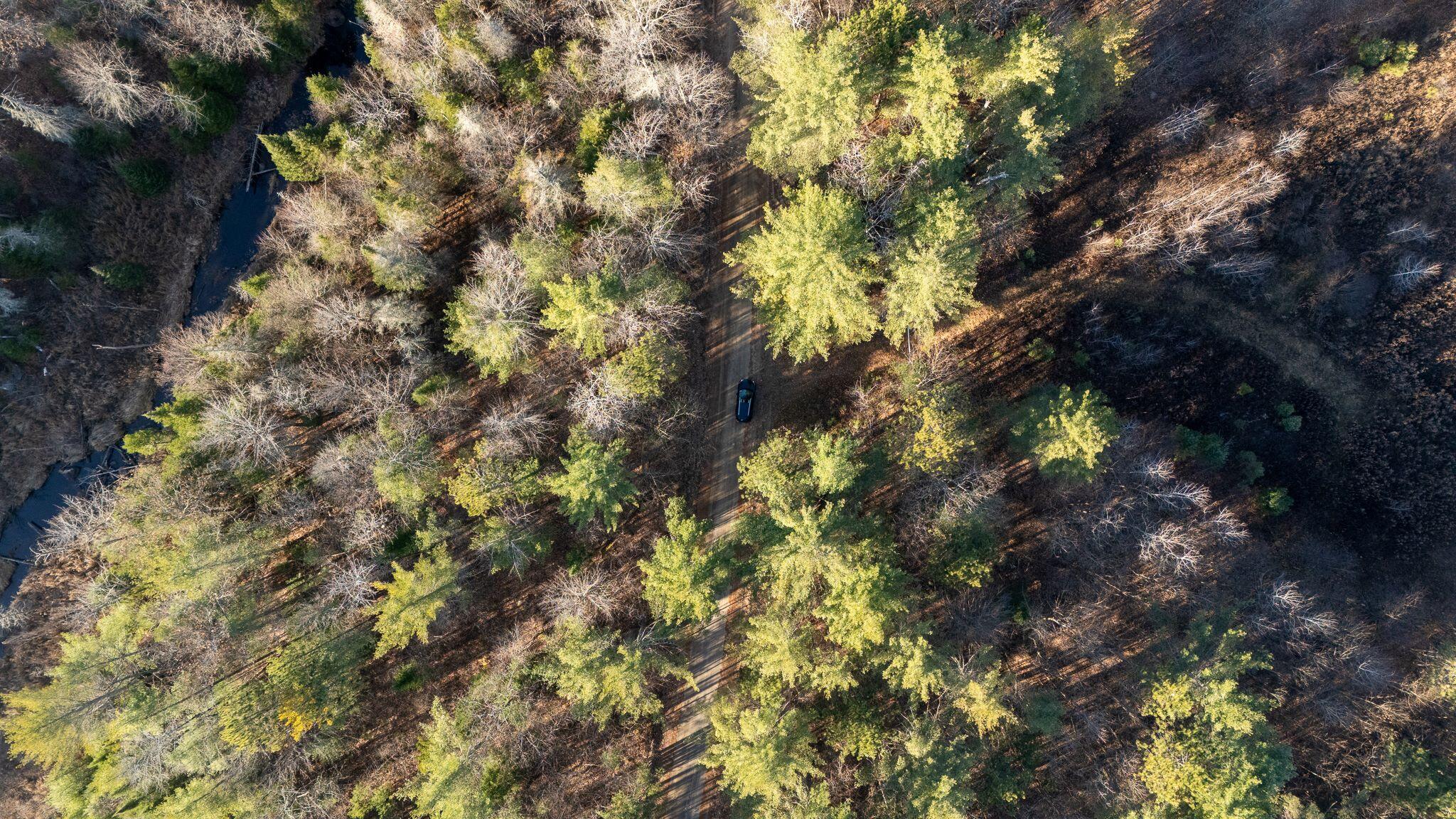 358 Buck Hill Road, Black Brook, New York, 12912, United States, ,Land,For Sale,358 Buck Hill Road,1668250