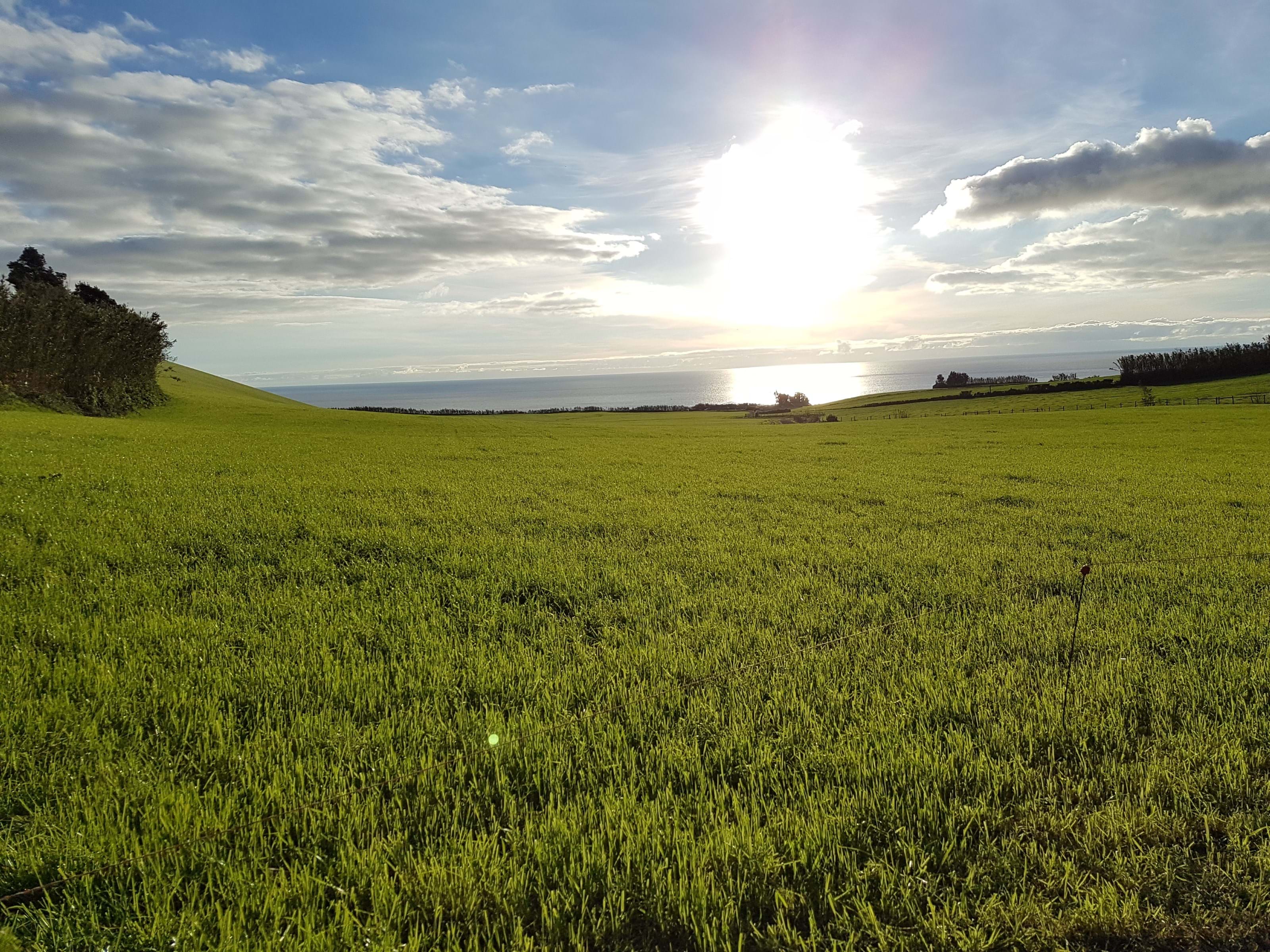 Lagoa (Açores), Ilha de São Miguel, 9560, PT, ,Residential,For Sale,1700162