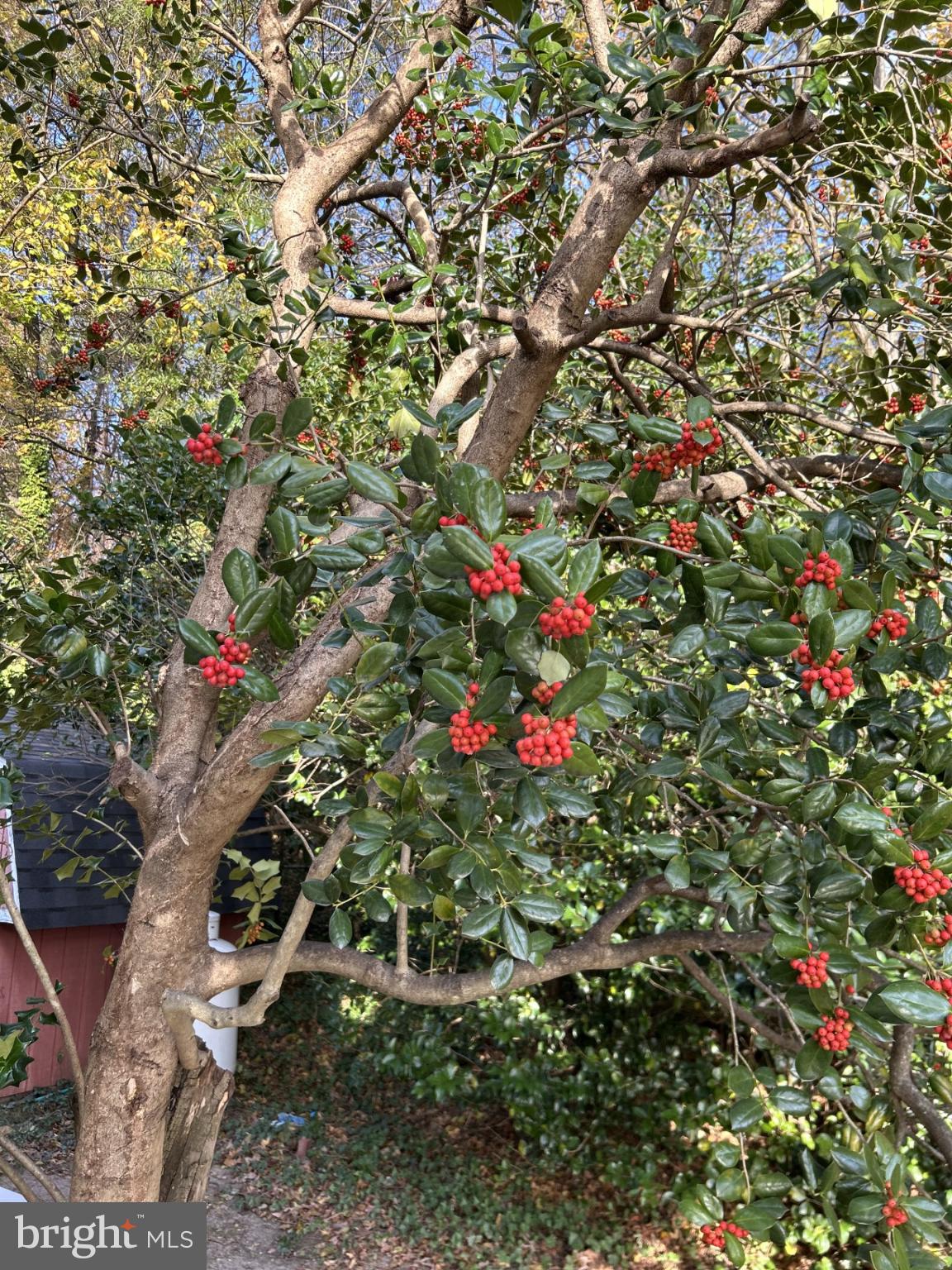 Beltsville, Maryland, 20705, United States, 3 Bedrooms Bedrooms, ,2 BathroomsBathrooms,Residential,For Sale,1987066