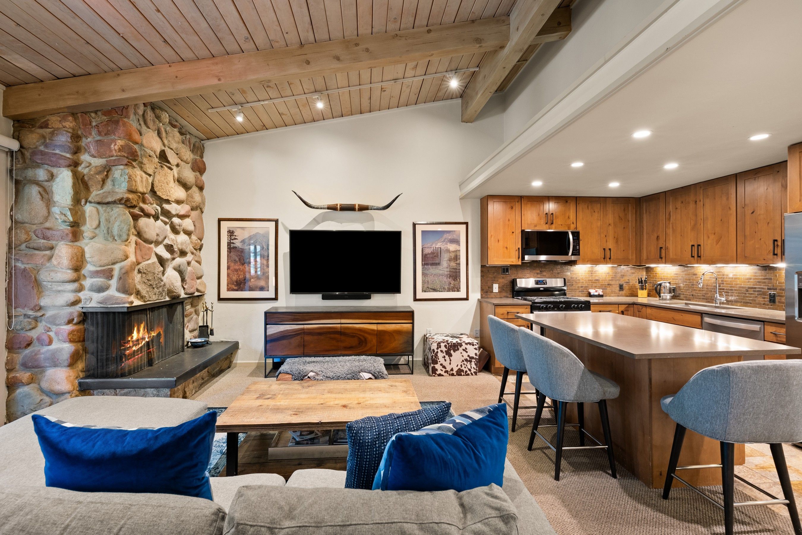  700 Ute Avenue, Aspen, CO, 81611 - 物件實景
