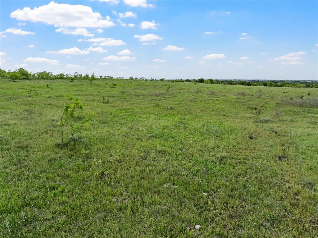Lott, Texas, 76656, United States, ,Land,For Sale,1776804
