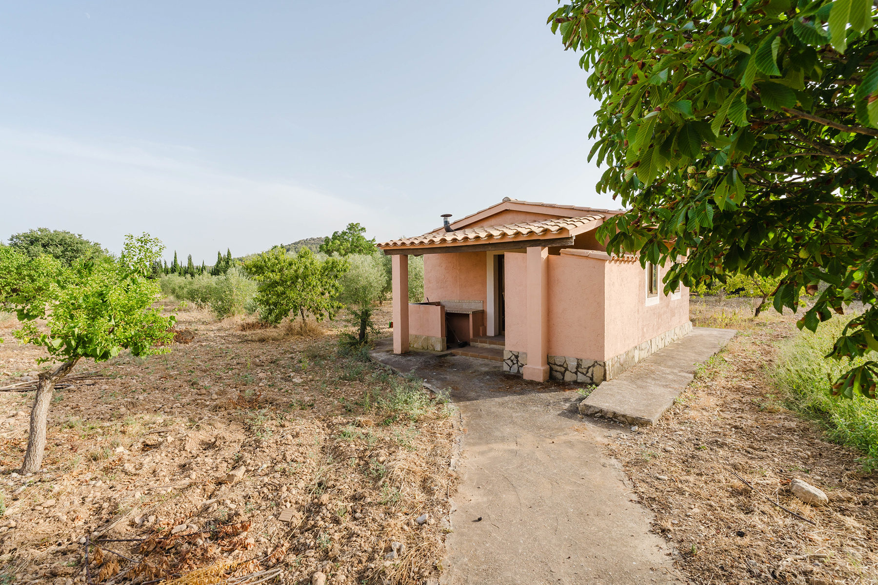  Rustic property with views of the Tramuntana mountains in Alaró - 物件實景