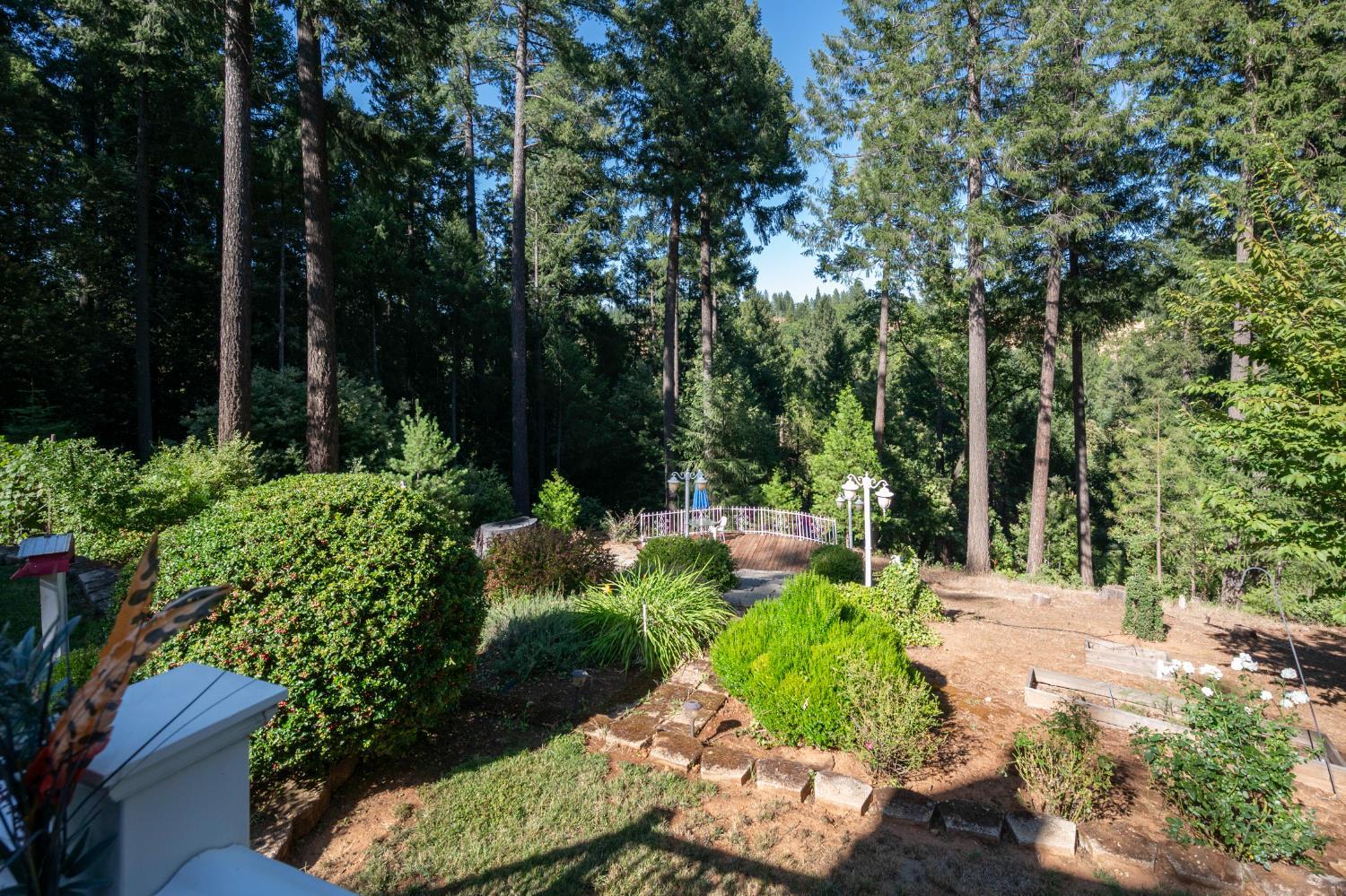 Camino, California, 95709, United States, 3 Bedrooms Bedrooms, ,4 BathroomsBathrooms,Residential,For Sale,1893476