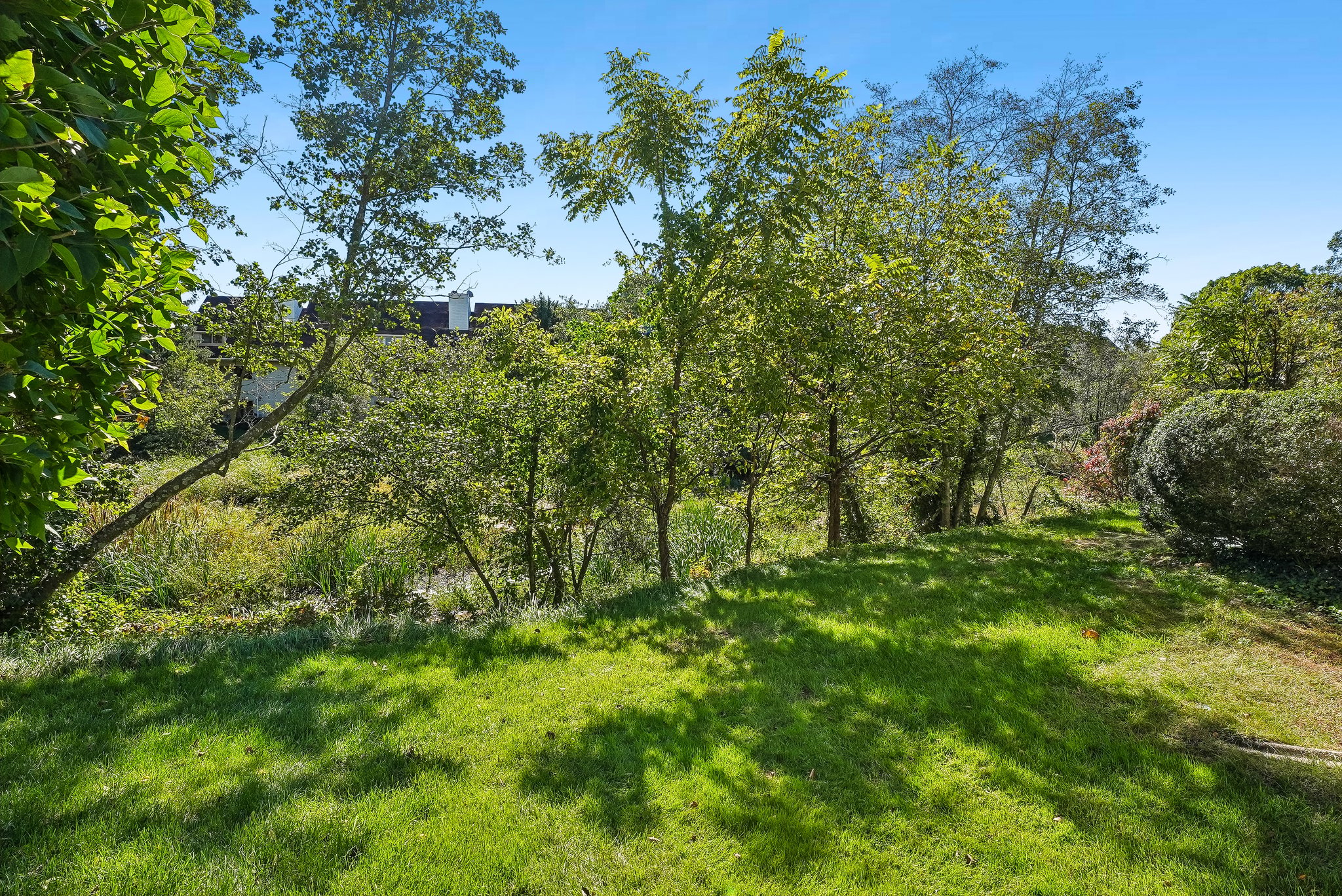  241 Tavistock Road, Cherry Hill Township, NJ 08034 - 物件實景