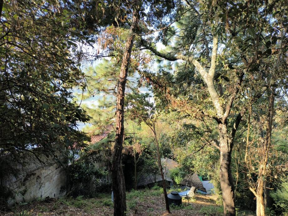 Valle de Bravo, Estado de méxico, 51200, Mexico, 1 Bedroom Bedrooms, ,Residential,For Sale,1721509