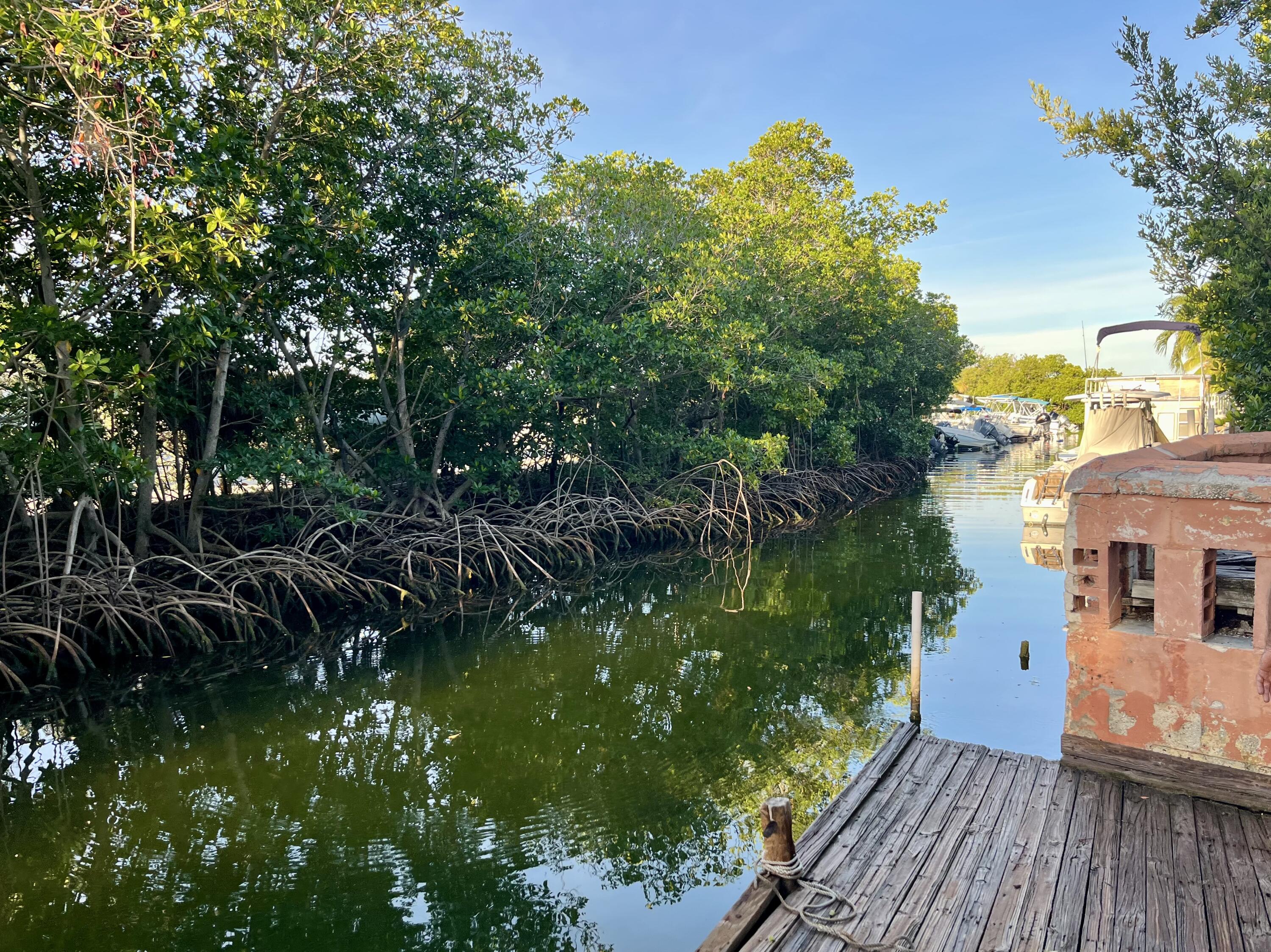 Hilton Haven Rd, Key West, FL 33040 #1